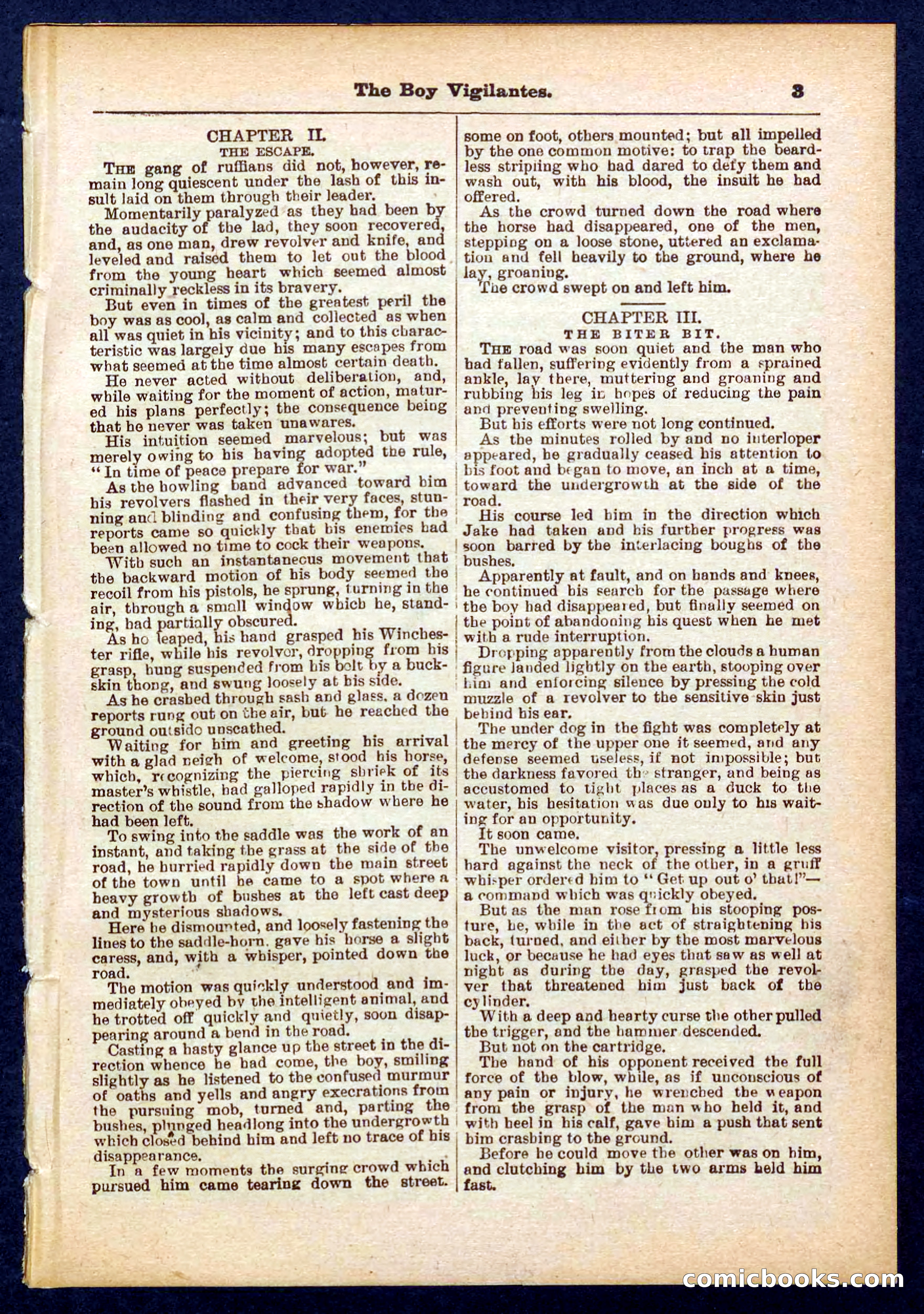 Beadle's Pocket Library No. 437 — page 3 of 32