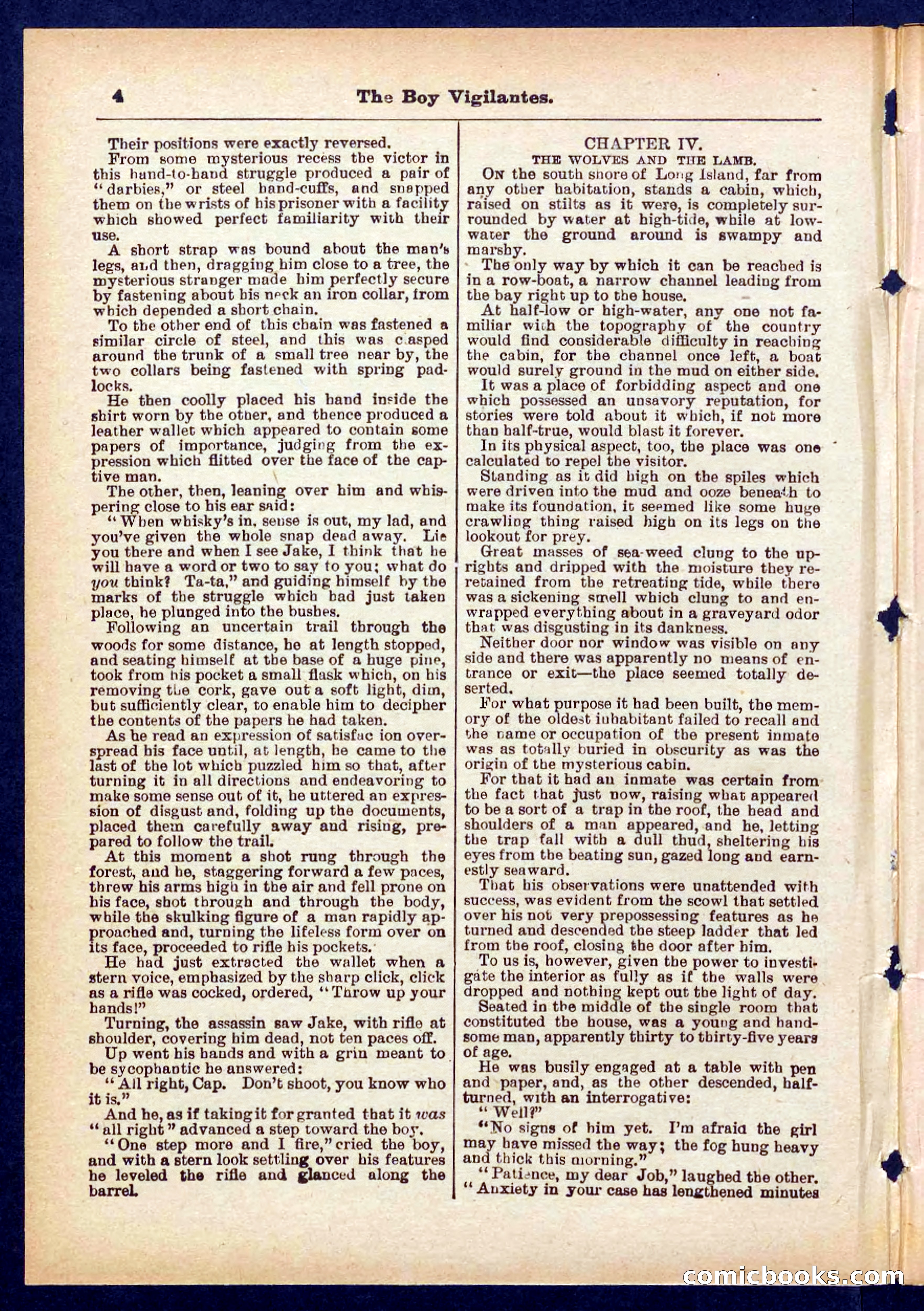 Beadle's Pocket Library No. 437 — page 4 of 32