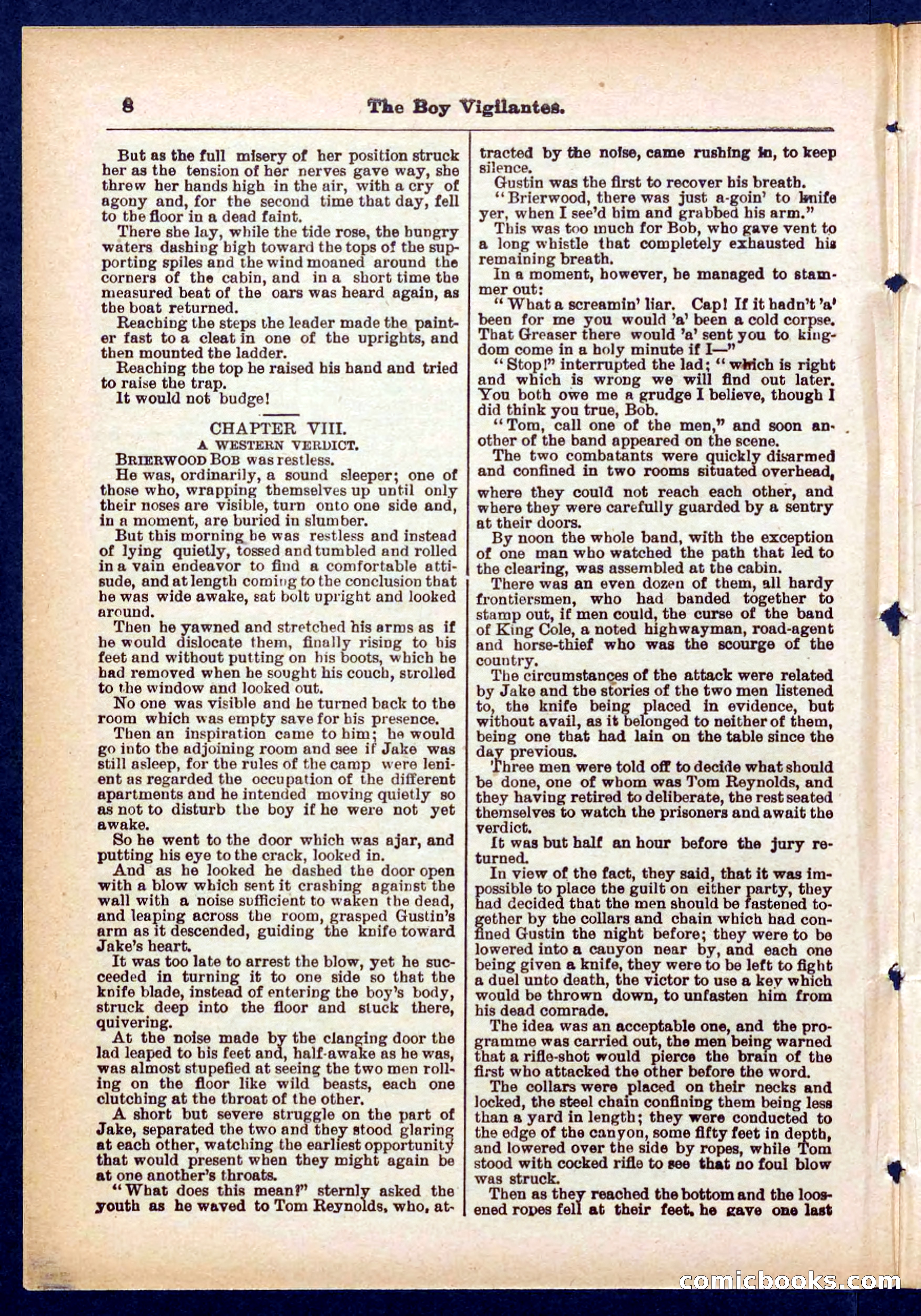 Beadle's Pocket Library No. 437 — page 8 of 32