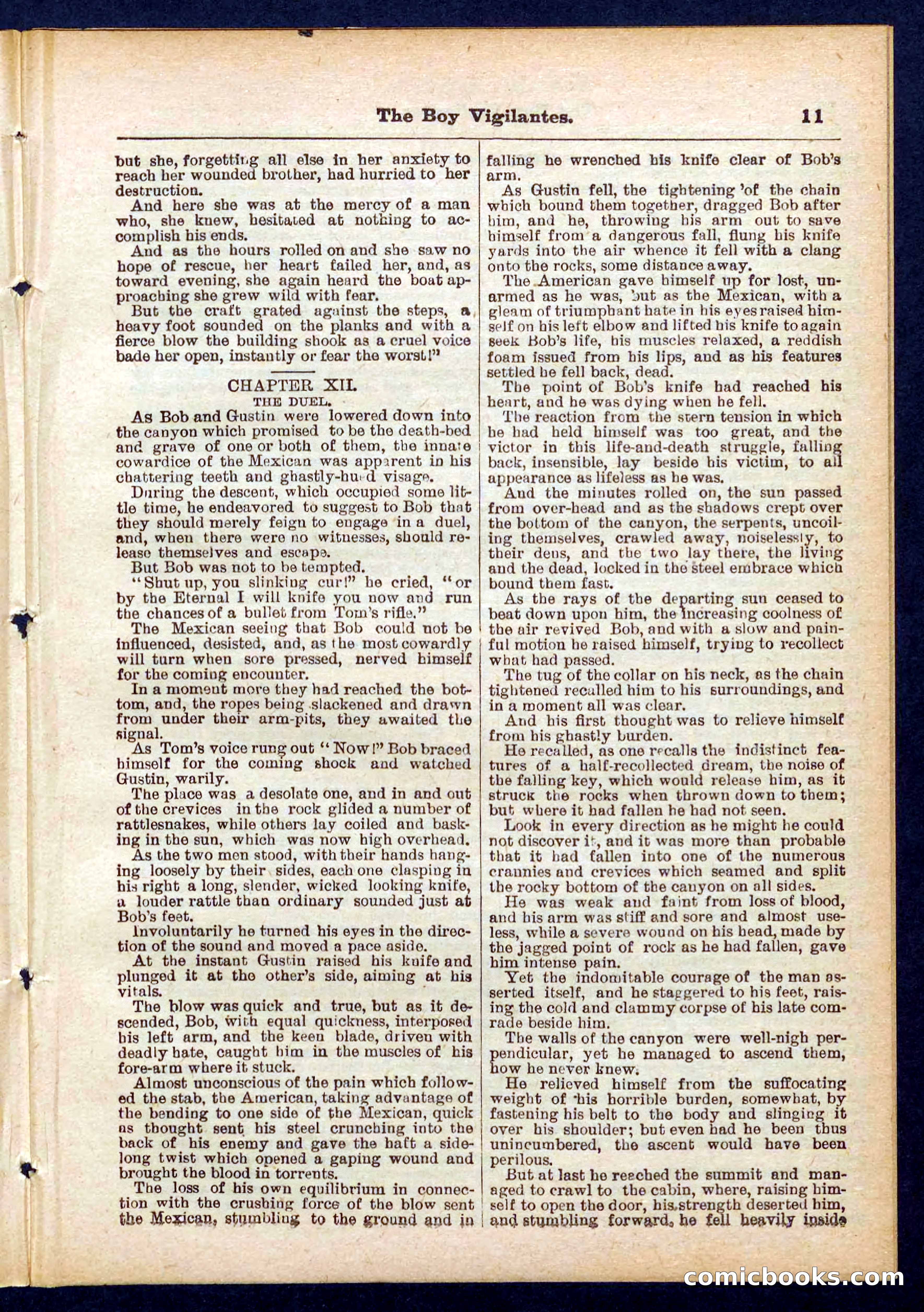 Beadle's Pocket Library No. 437 — page 11 of 32