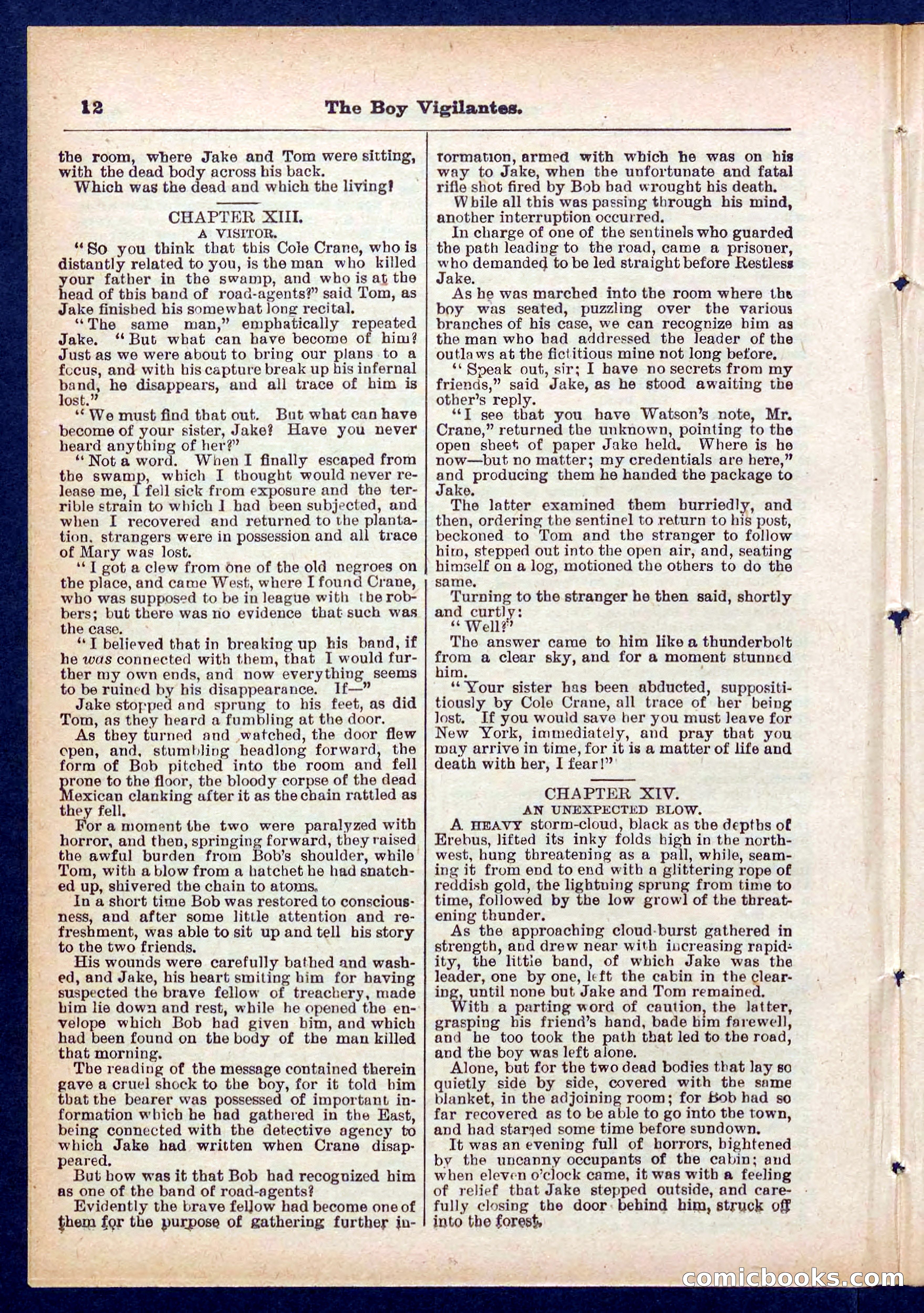 Beadle's Pocket Library No. 437 — page 12 of 32