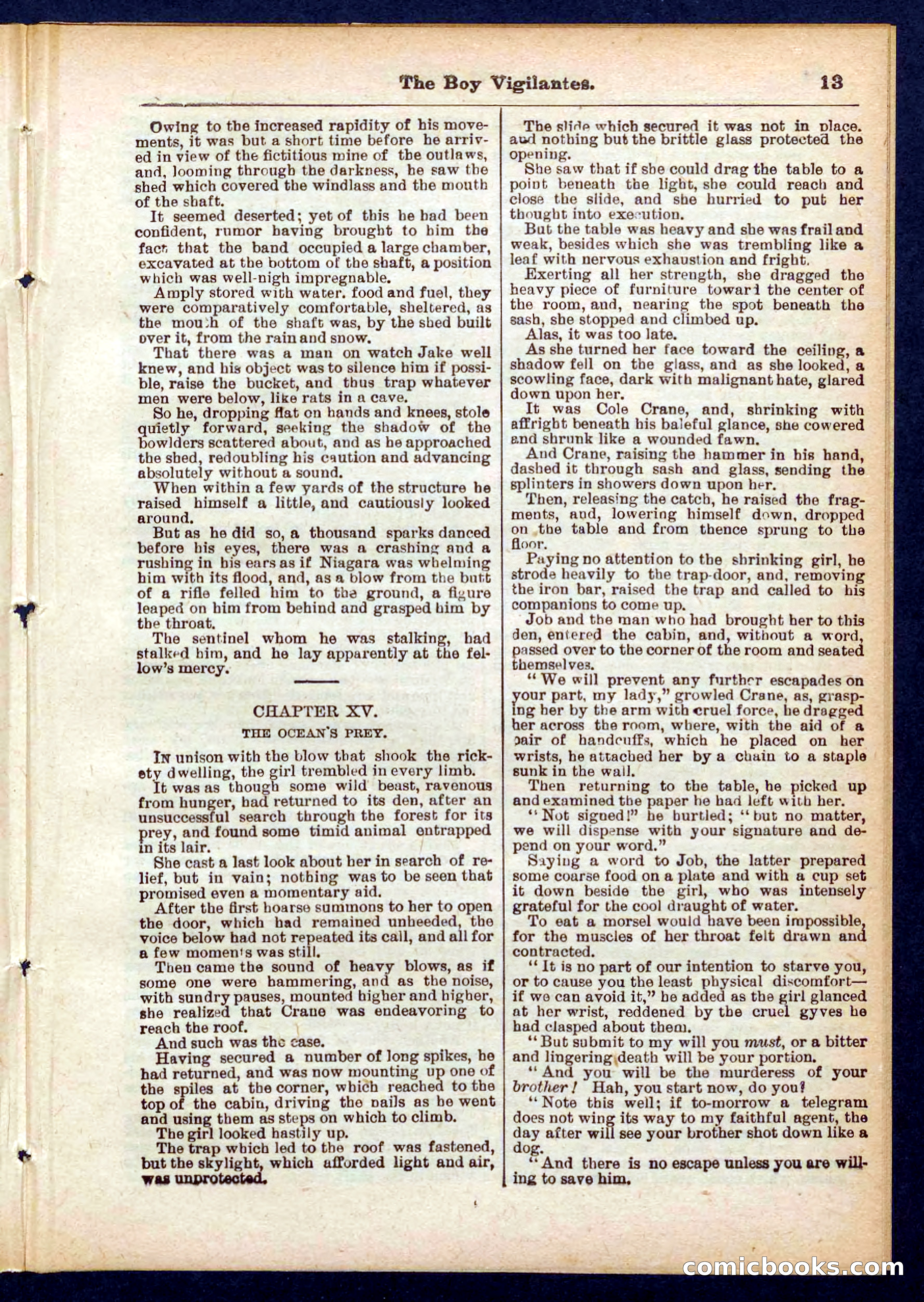 Beadle's Pocket Library No. 437 — page 13 of 32