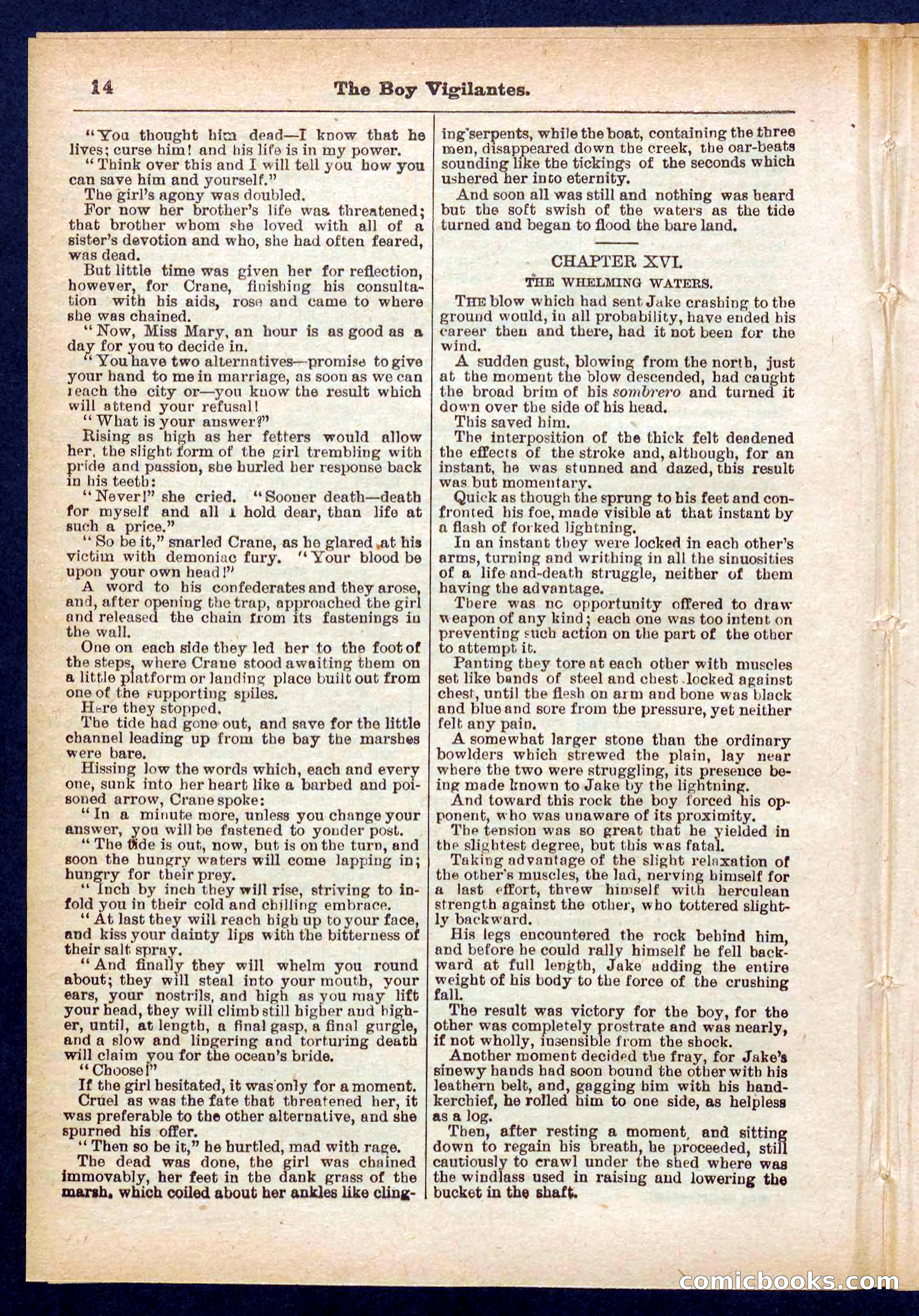 Beadle's Pocket Library No. 437 — page 14 of 32