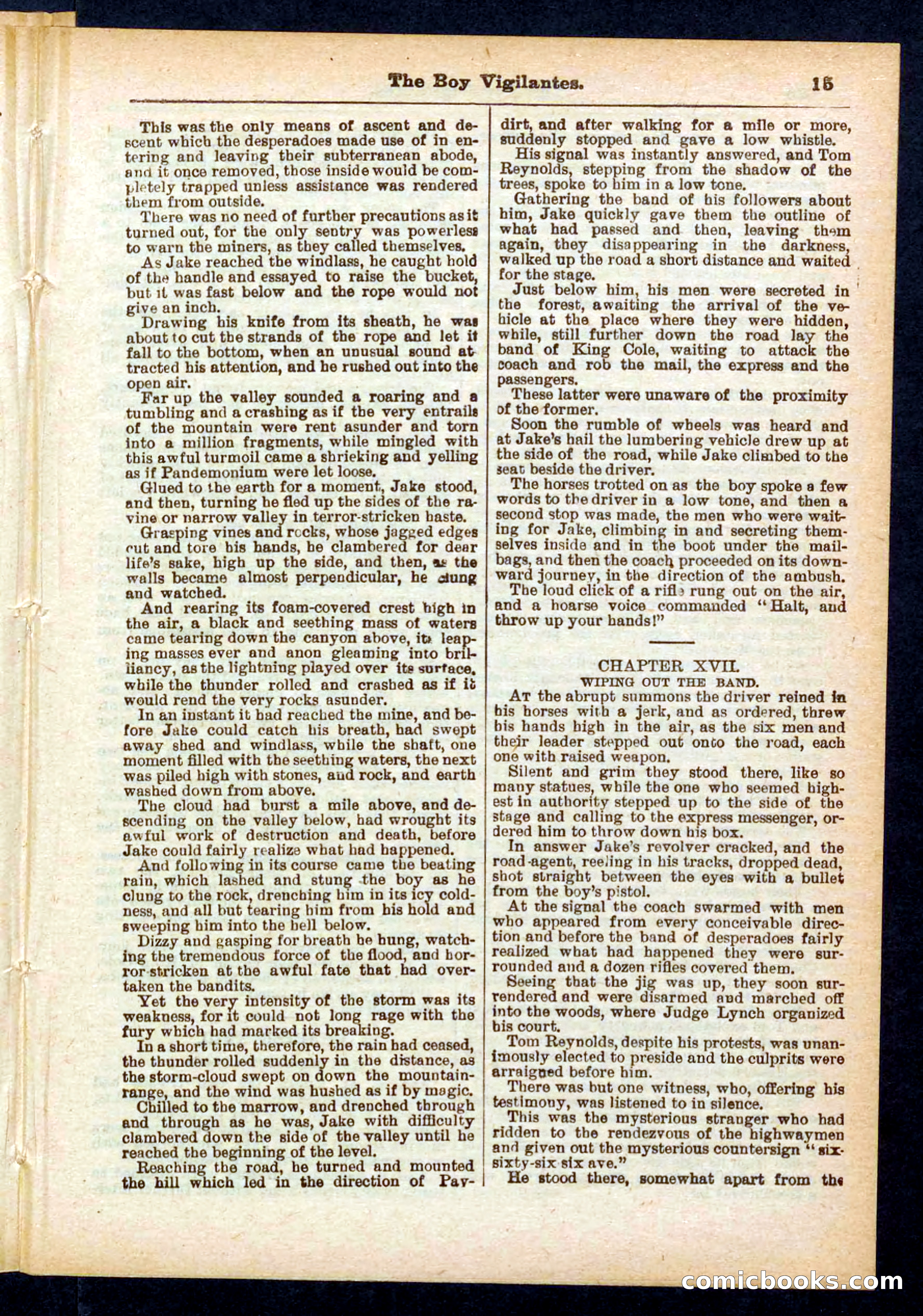 Beadle's Pocket Library No. 437 — page 15 of 32