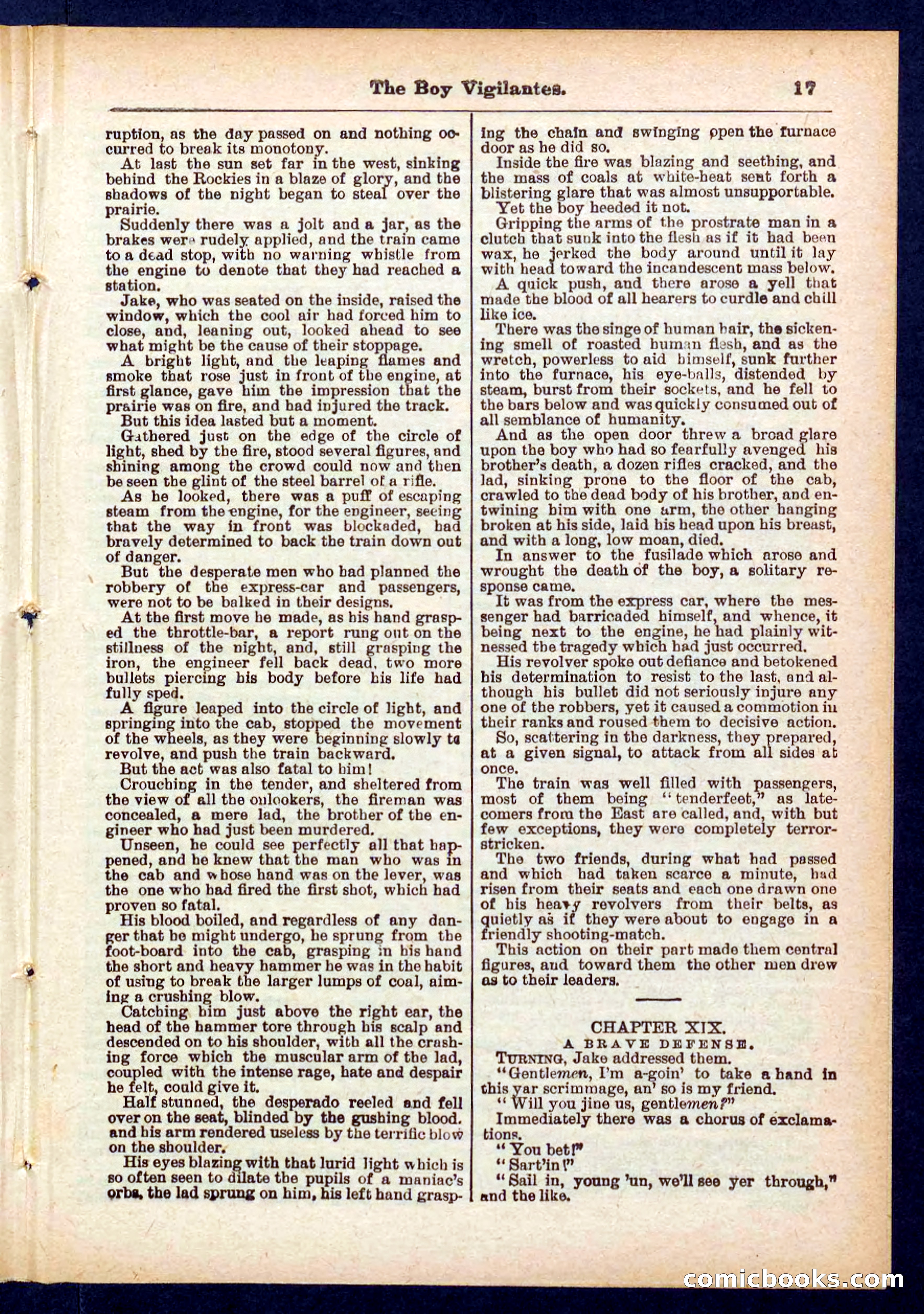 Beadle's Pocket Library No. 437 — page 17 of 32