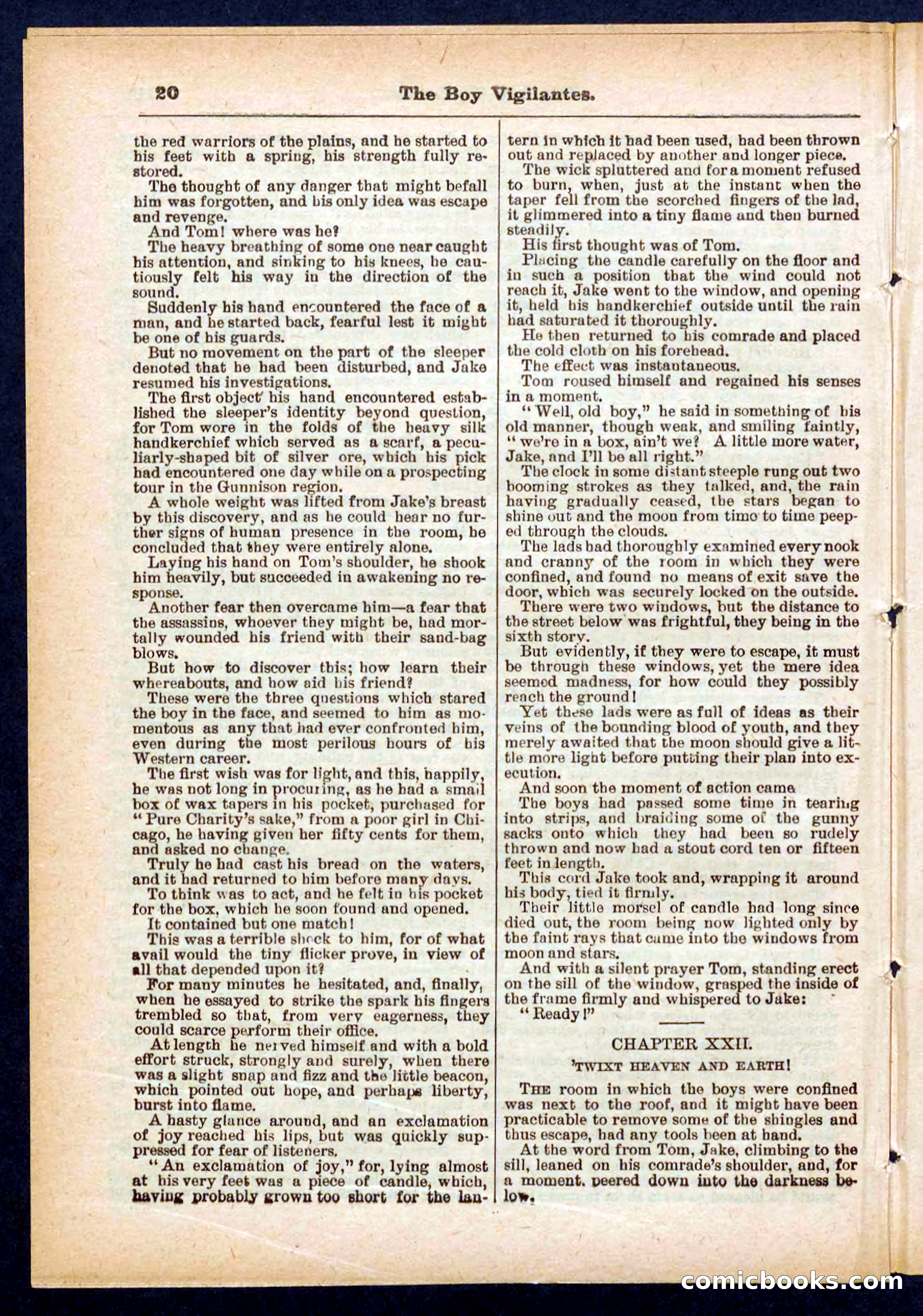 Beadle's Pocket Library No. 437 — page 20 of 32
