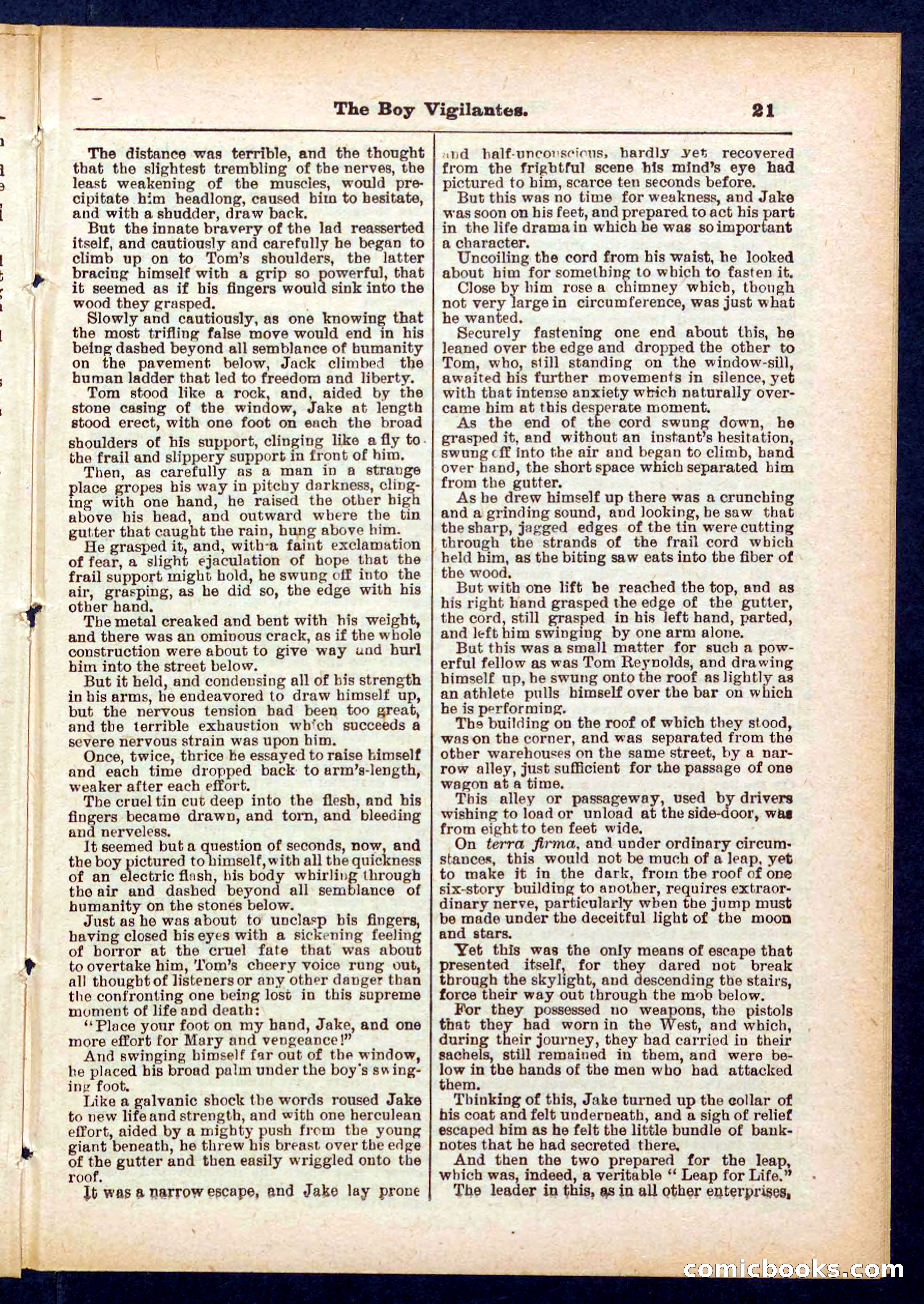 Beadle's Pocket Library No. 437 — page 21 of 32