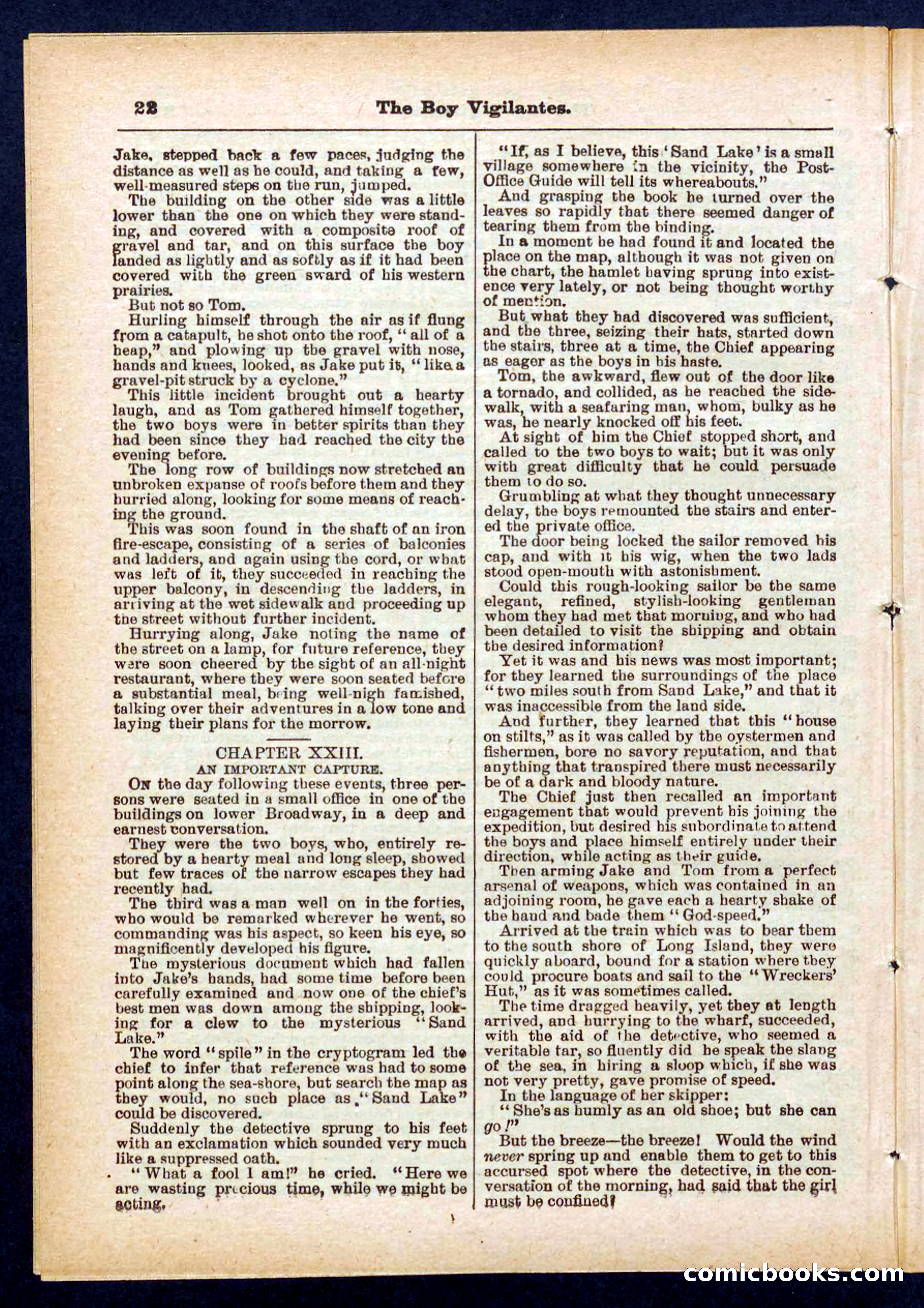 Beadle's Pocket Library No. 437 — page 22 of 32