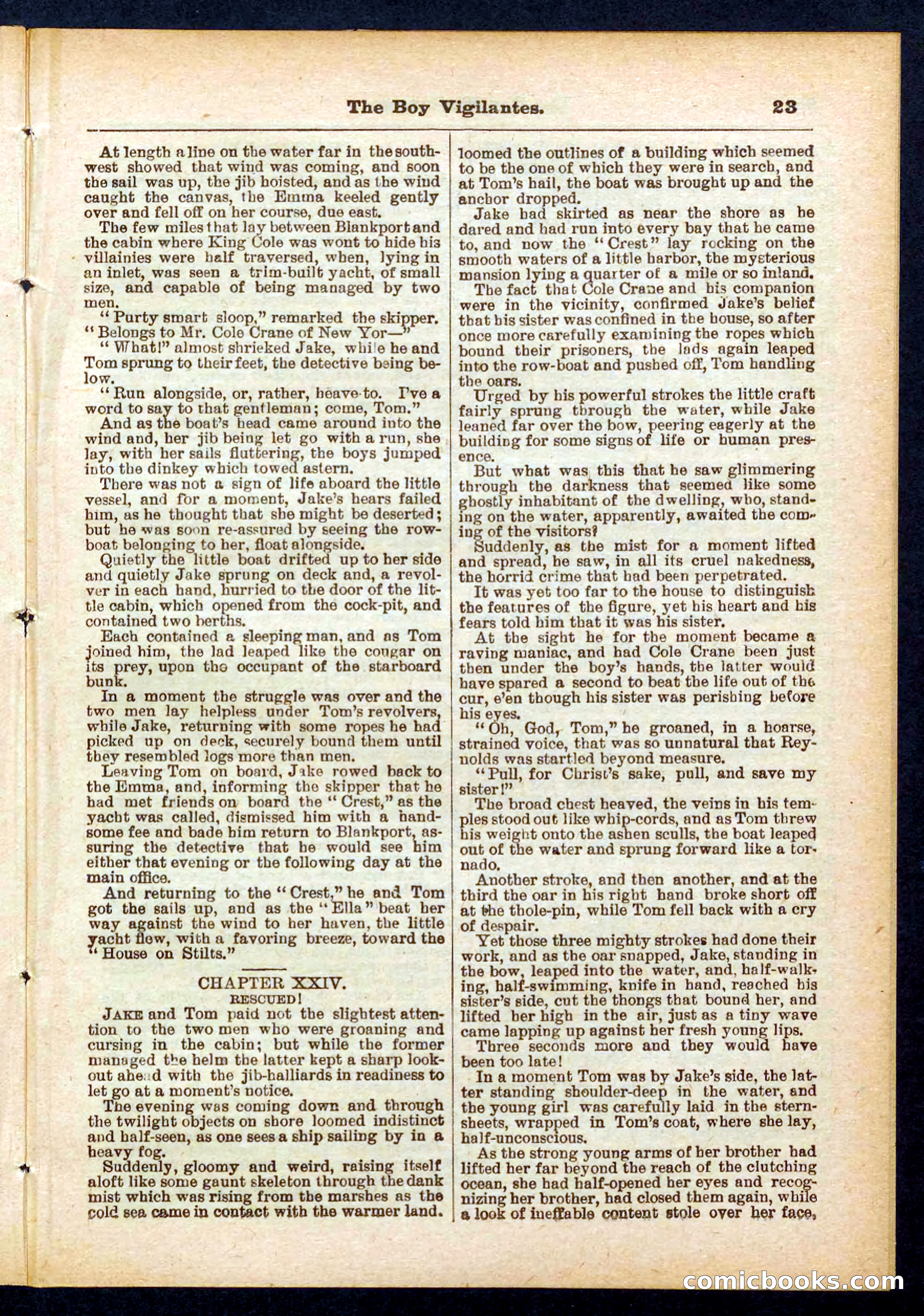 Beadle's Pocket Library No. 437 — page 23 of 32