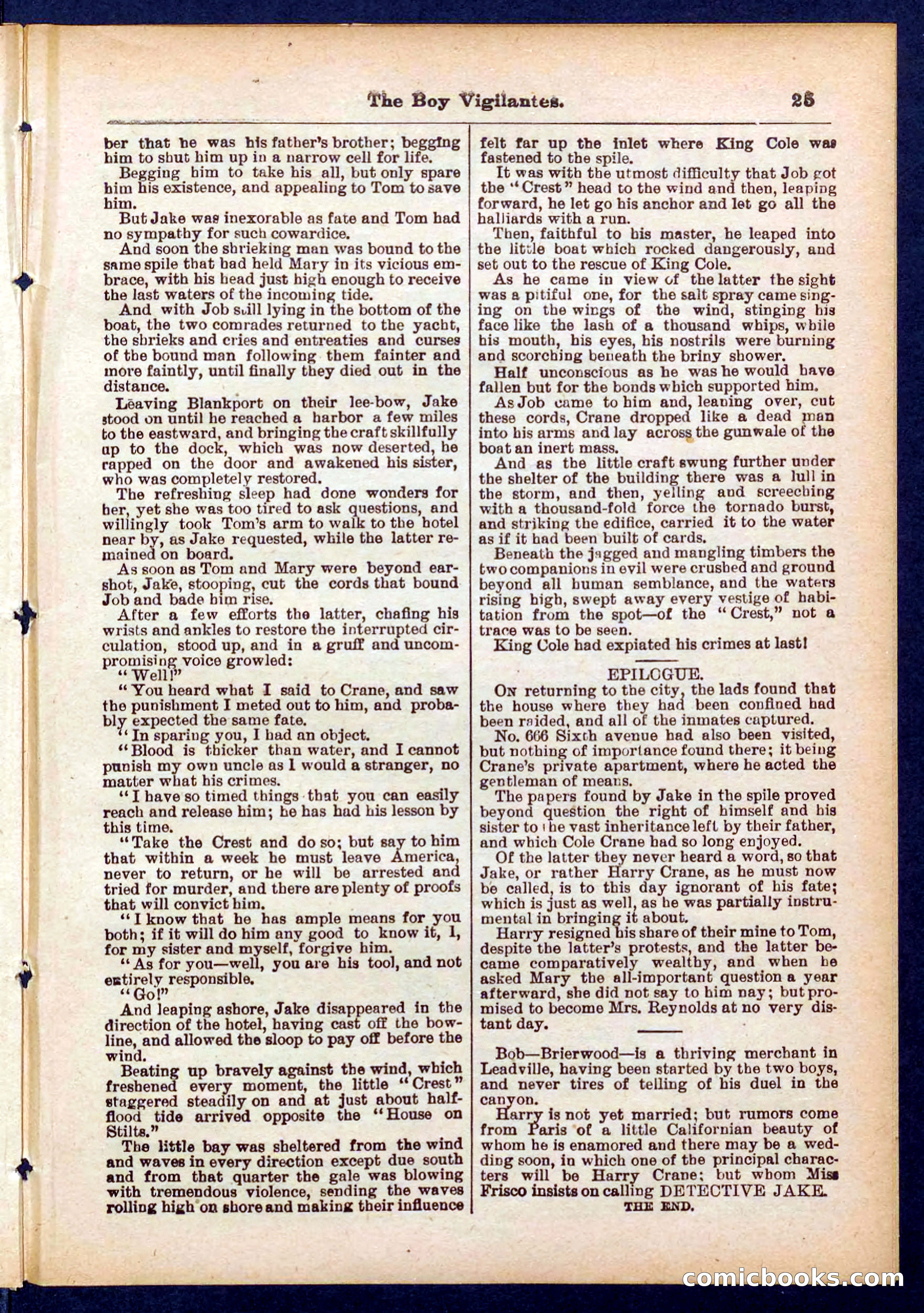 Beadle's Pocket Library No. 437 — page 25 of 32