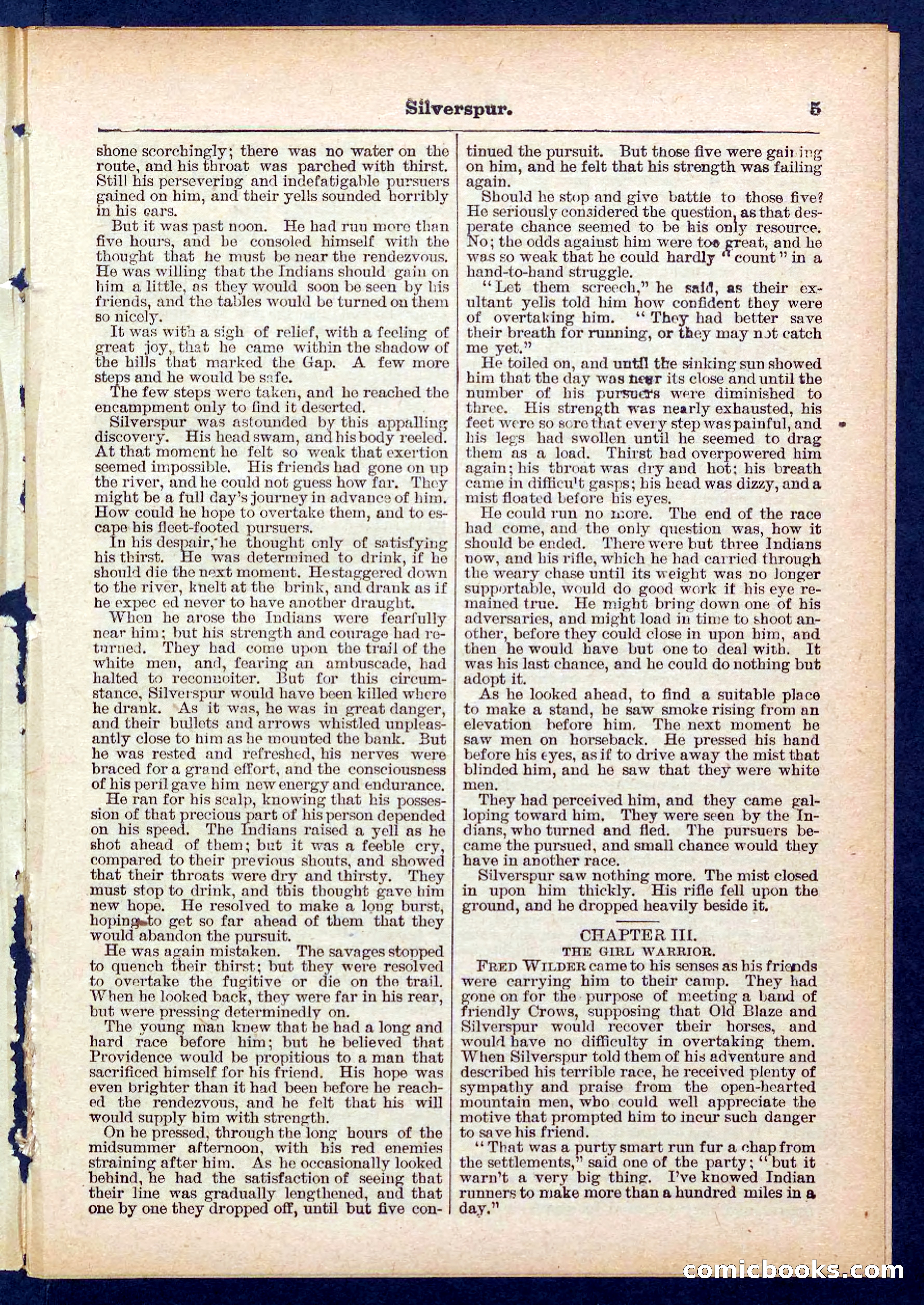 Beadle's Pocket Library No. 439 — page 5 of 32