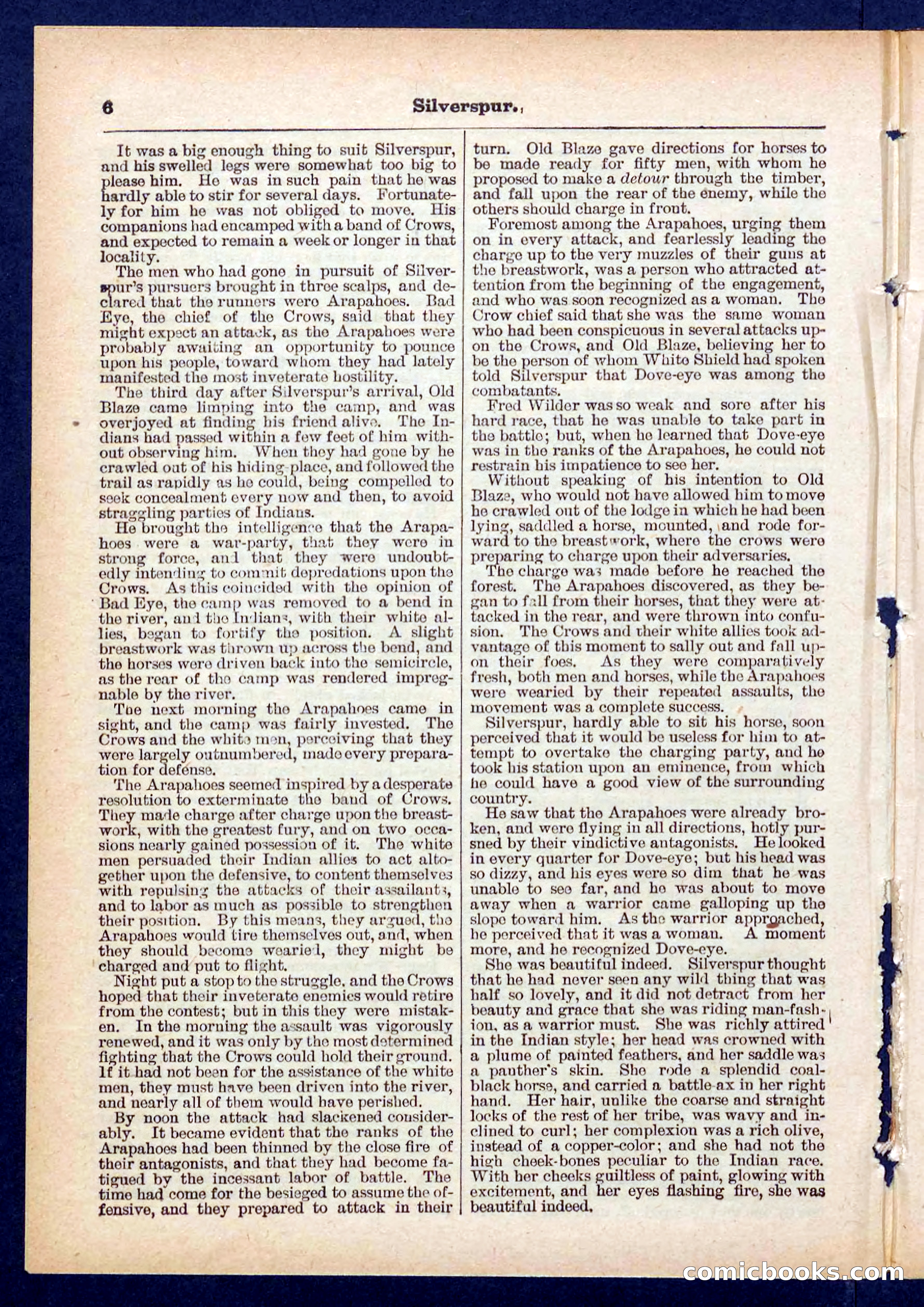 Beadle's Pocket Library No. 439 — page 6 of 32