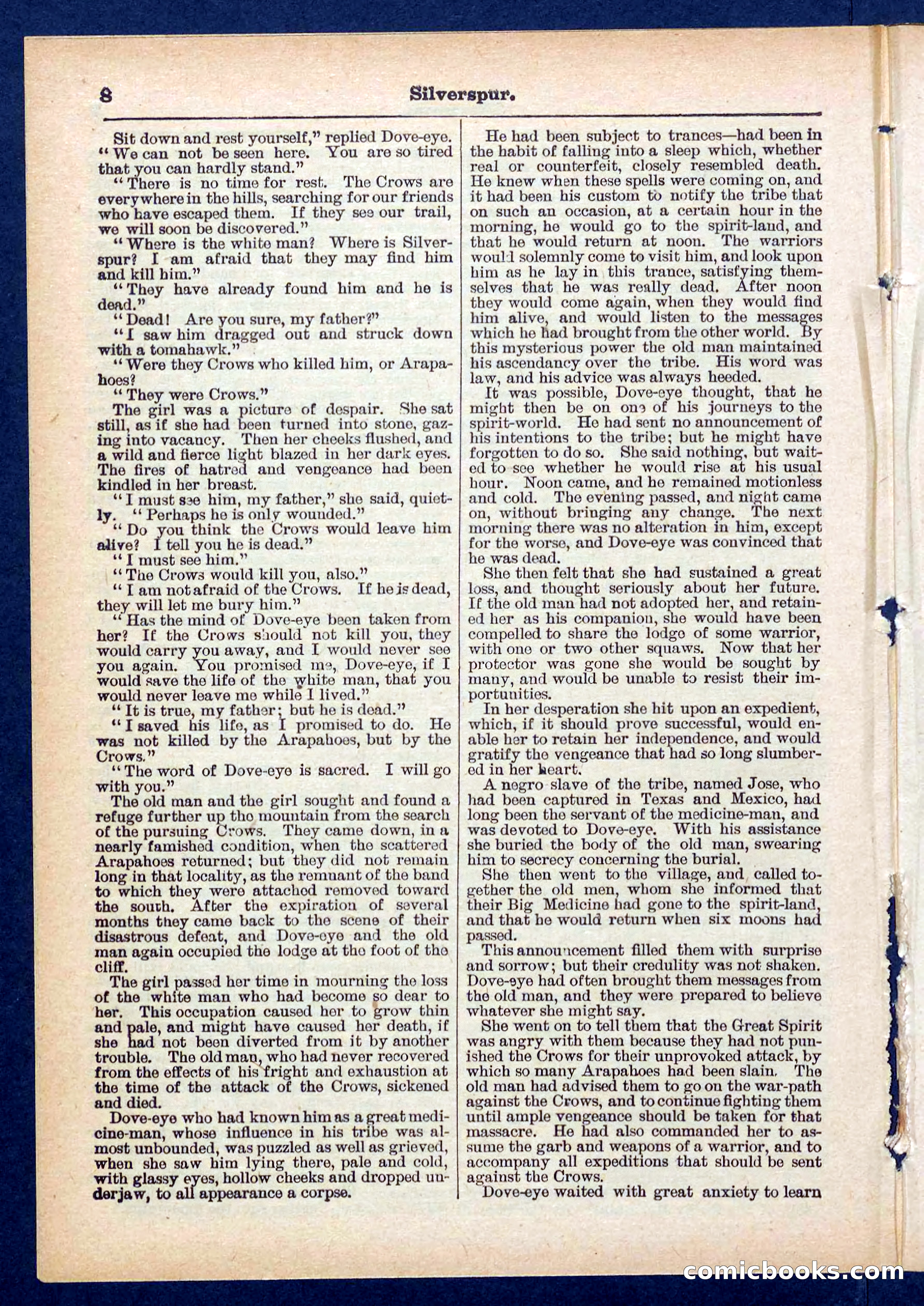 Beadle's Pocket Library No. 439 — page 8 of 32