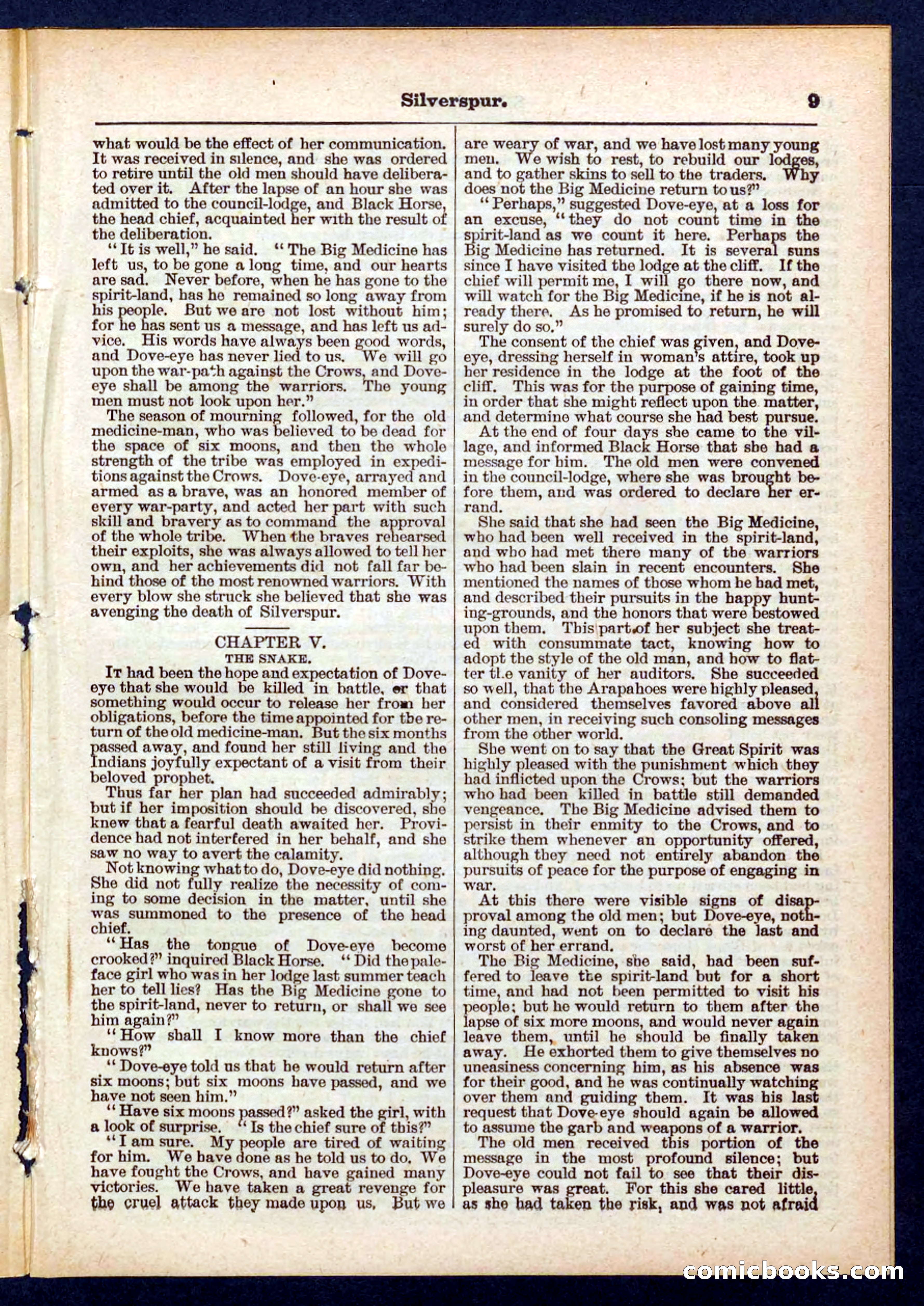 Beadle's Pocket Library No. 439 — page 9 of 32