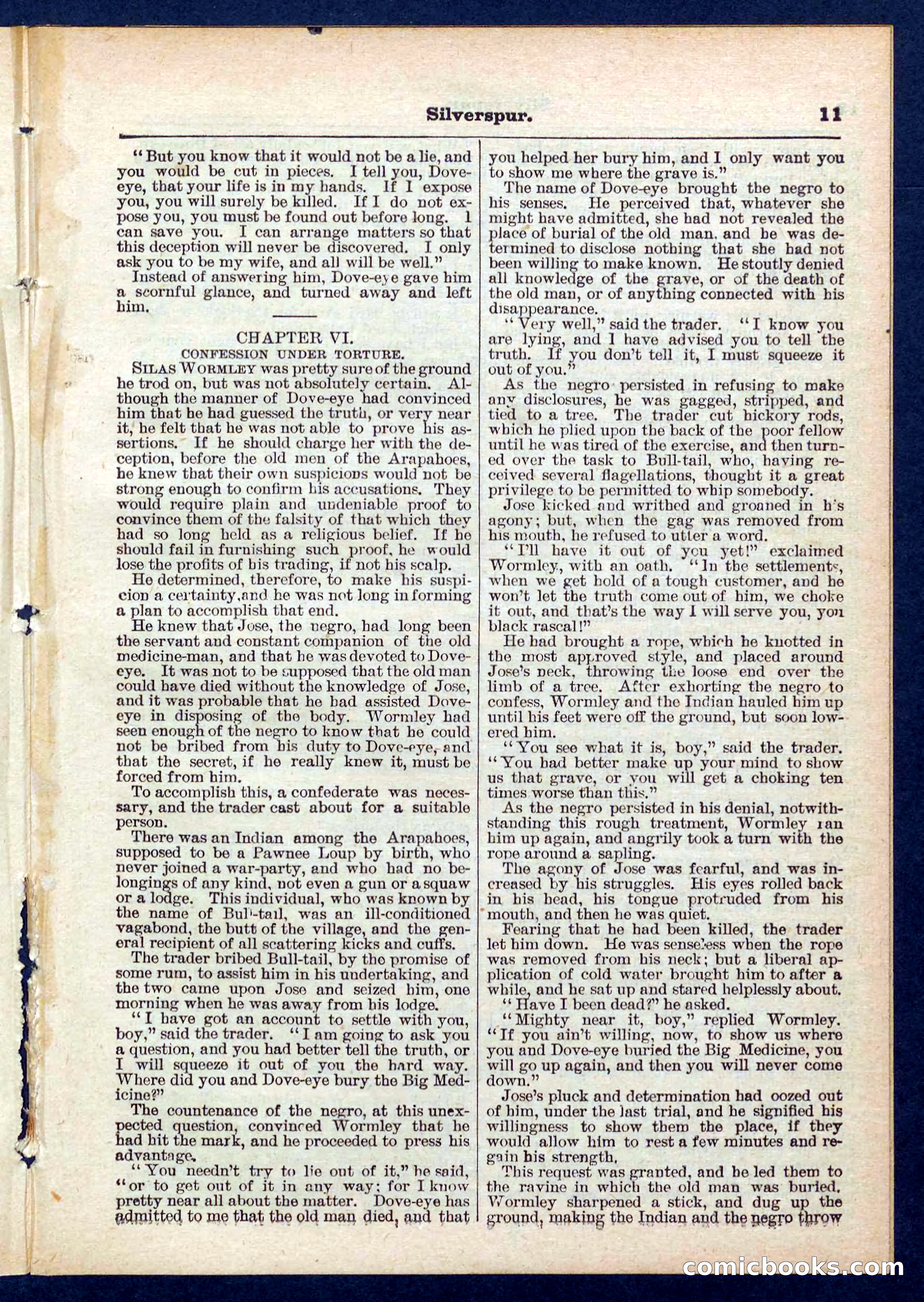 Beadle's Pocket Library No. 439 — page 11 of 32