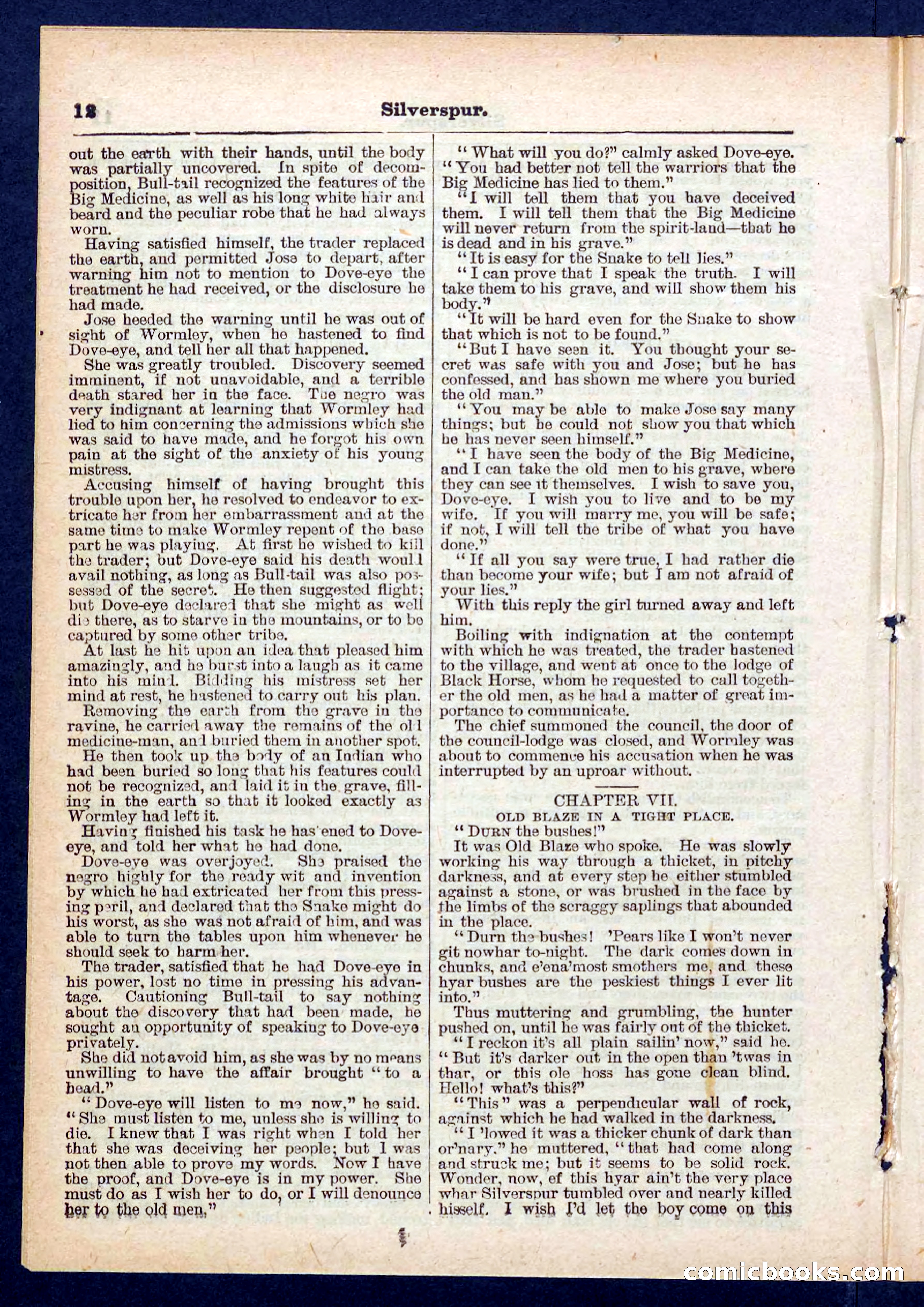 Beadle's Pocket Library No. 439 — page 12 of 32