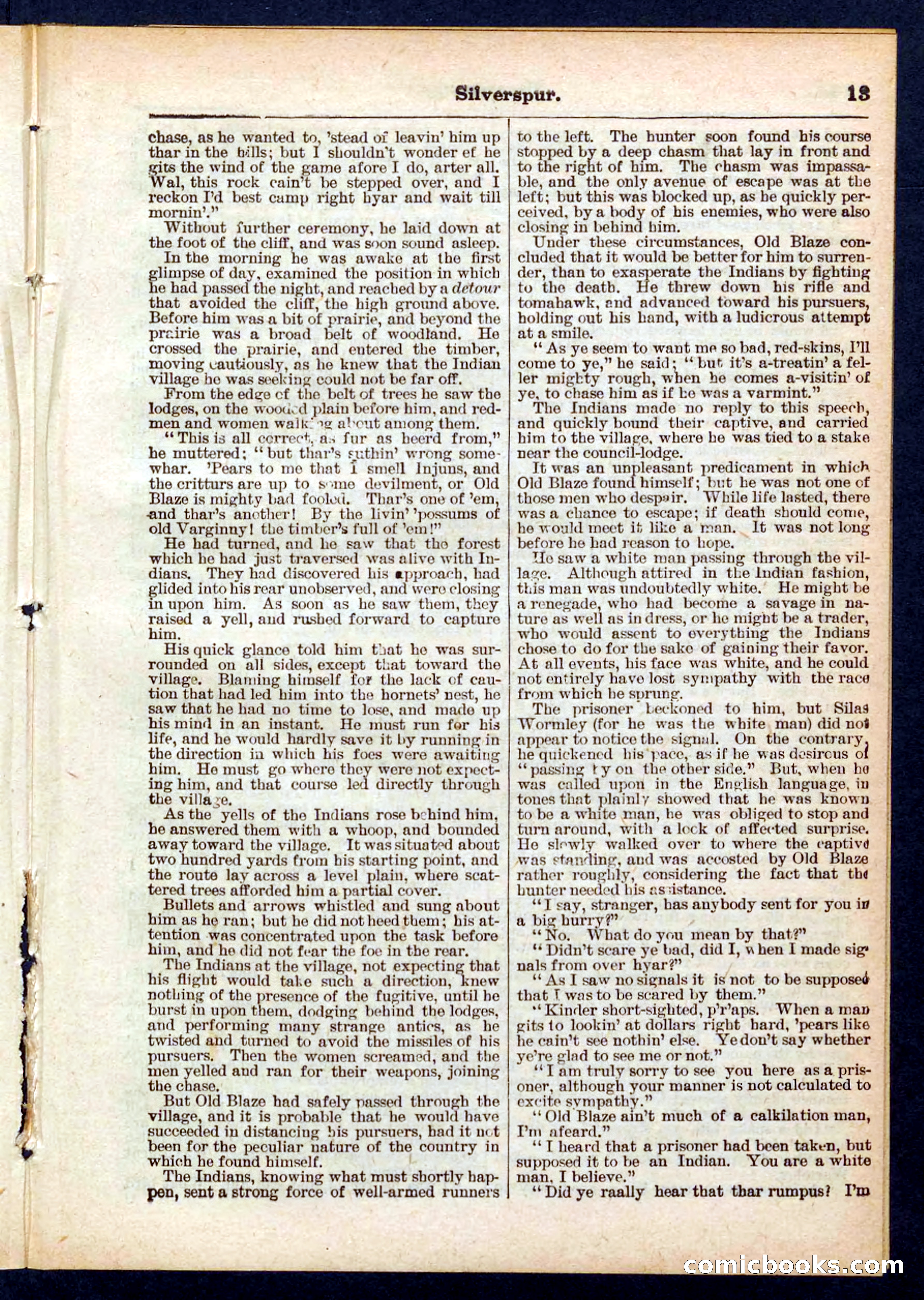 Beadle's Pocket Library No. 439 — page 13 of 32