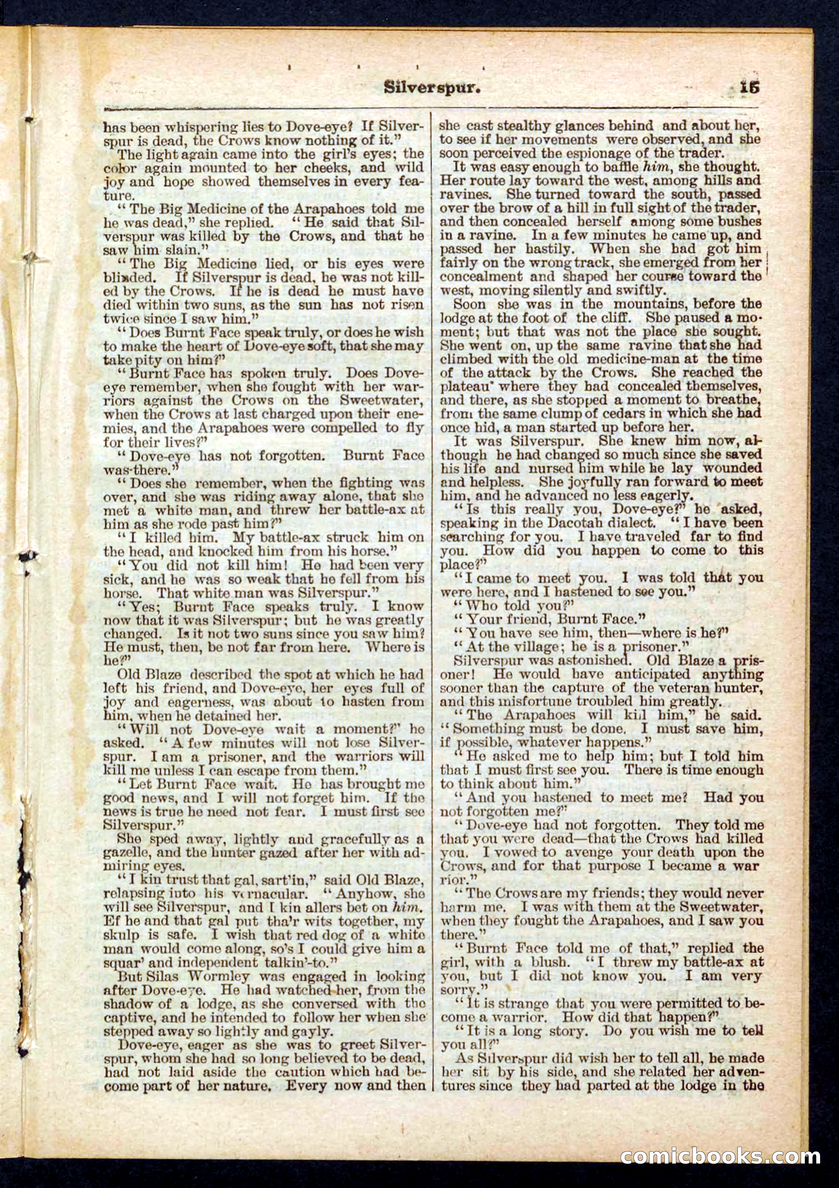 Beadle's Pocket Library No. 439 — page 15 of 32
