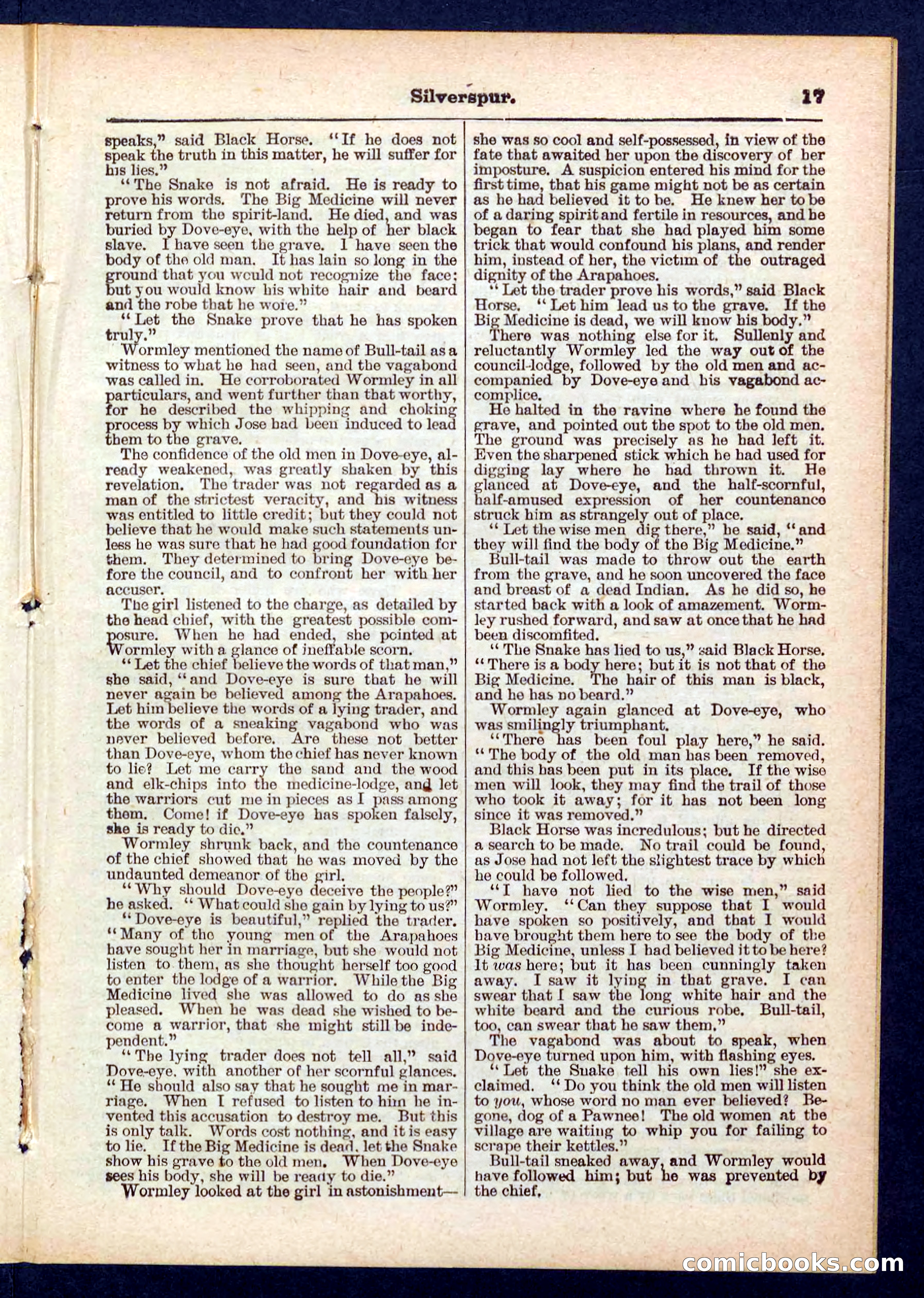 Beadle's Pocket Library No. 439 — page 17 of 32