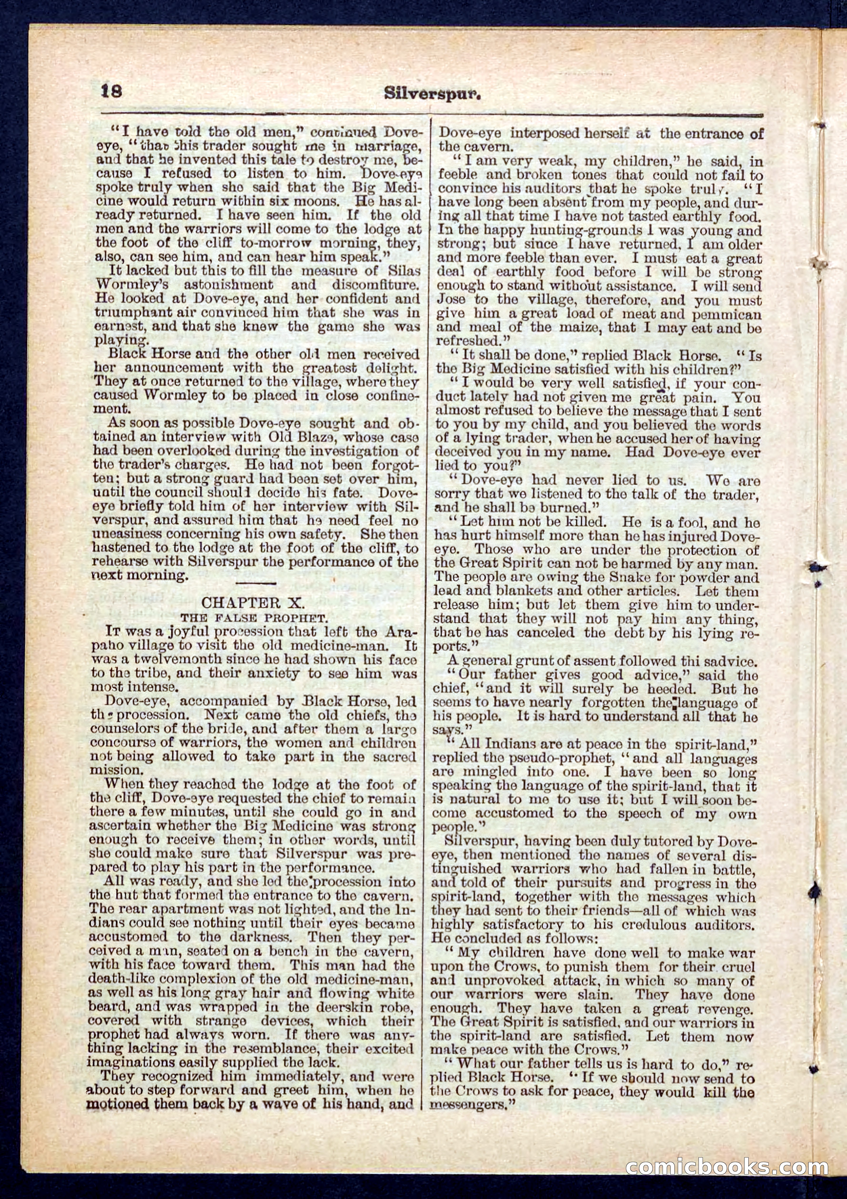 Beadle's Pocket Library No. 439 — page 18 of 32