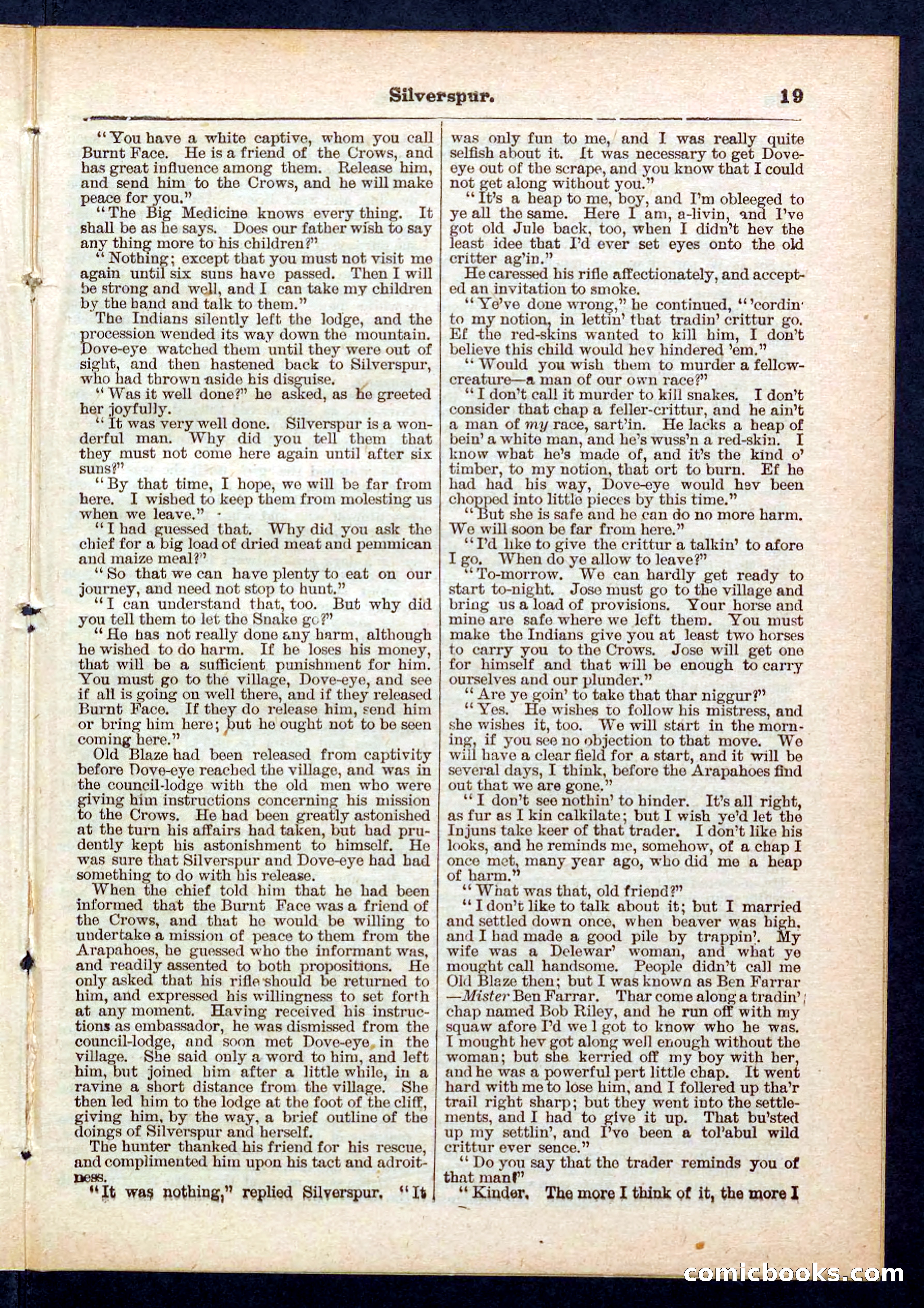 Beadle's Pocket Library No. 439 — page 19 of 32
