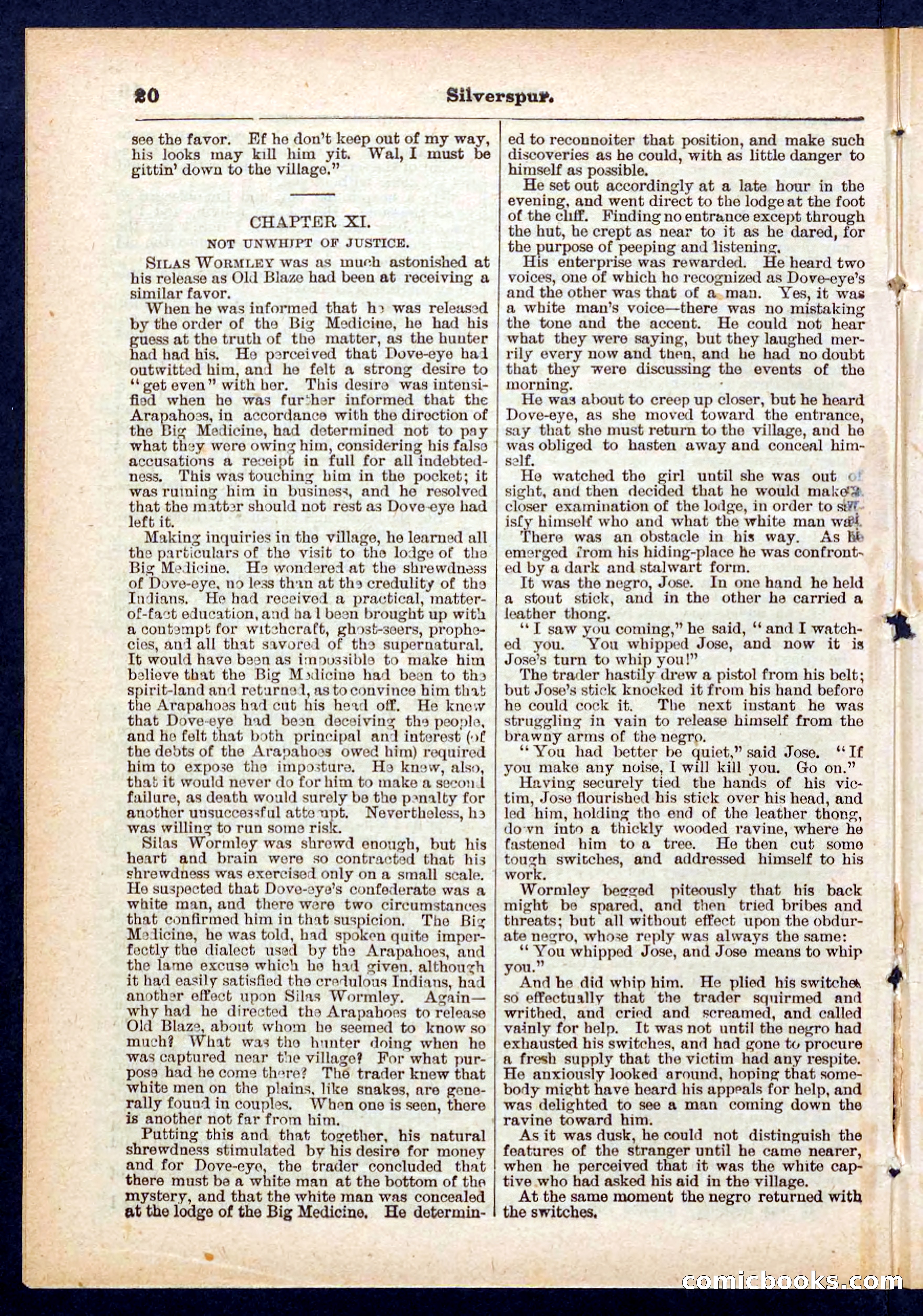 Beadle's Pocket Library No. 439 — page 20 of 32