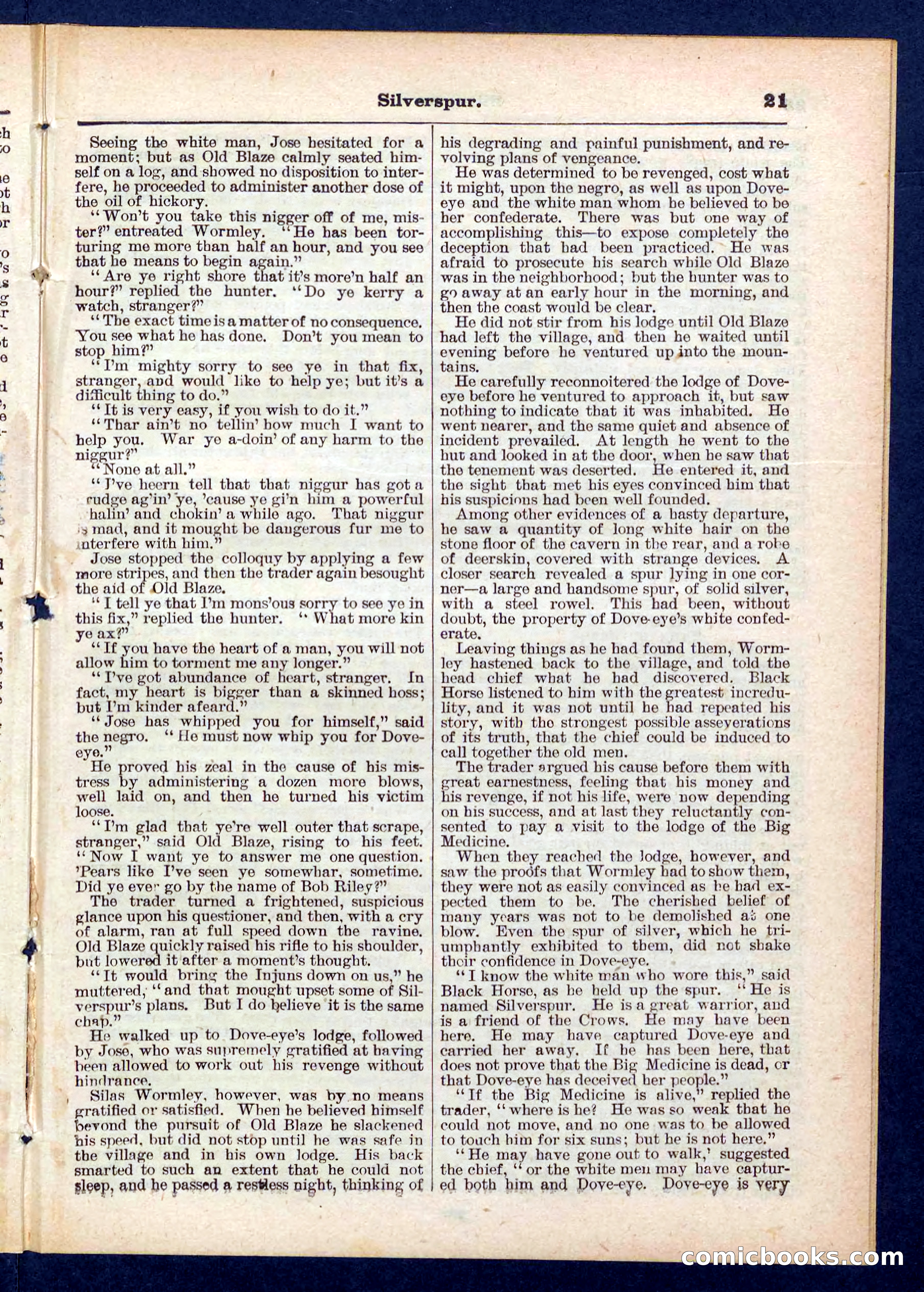 Beadle's Pocket Library No. 439 — page 21 of 32