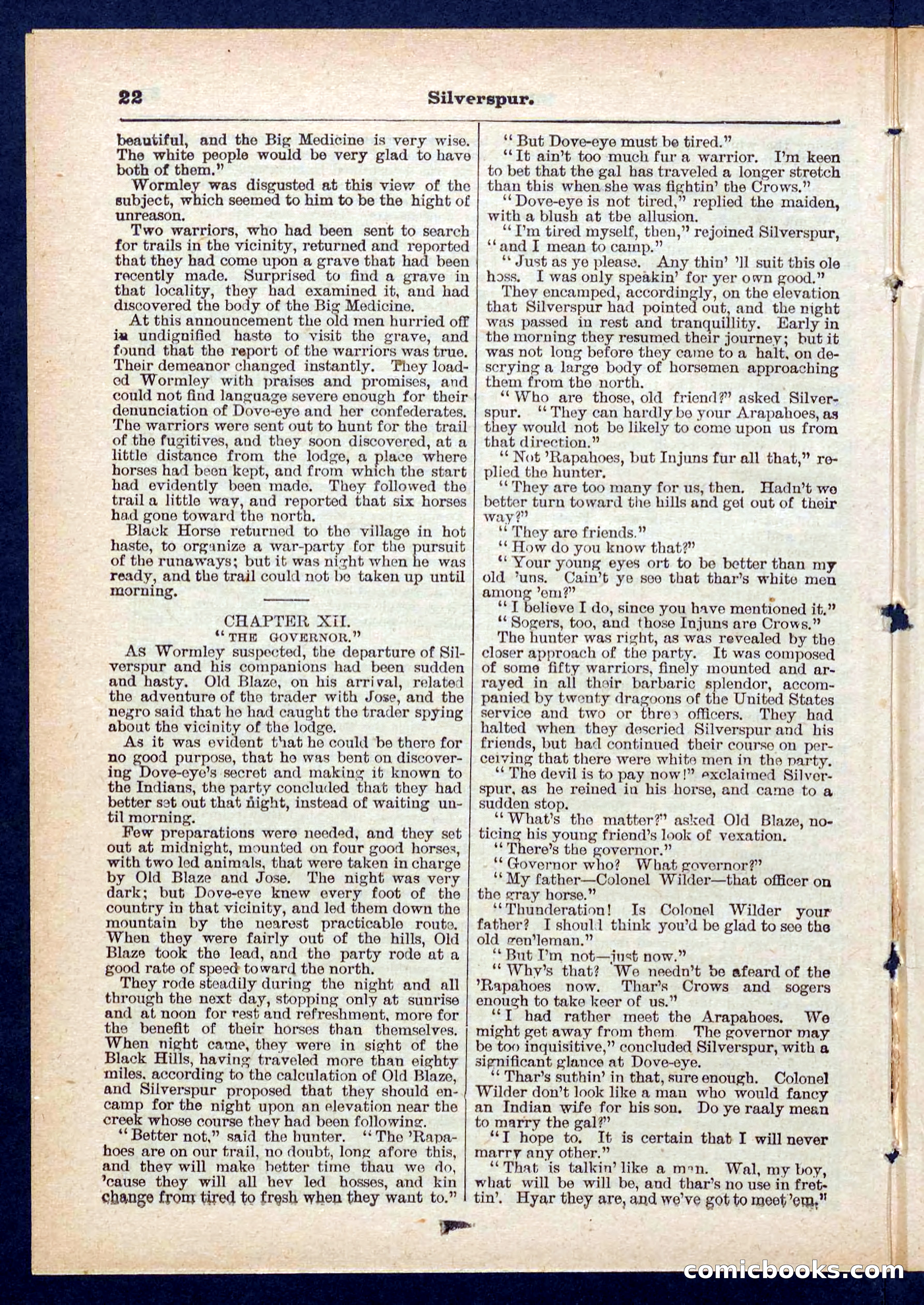 Beadle's Pocket Library No. 439 — page 22 of 32