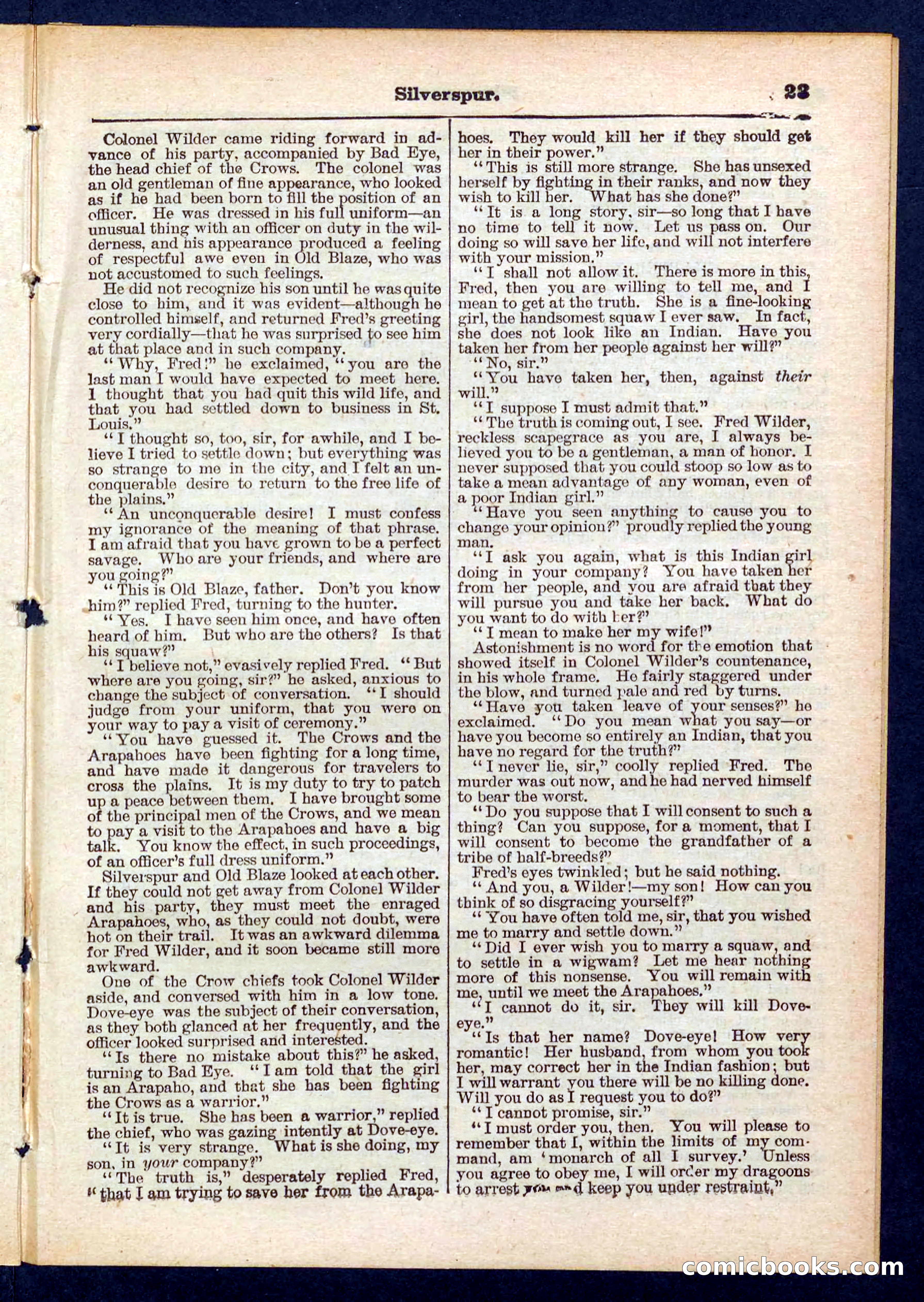 Beadle's Pocket Library No. 439 — page 23 of 32