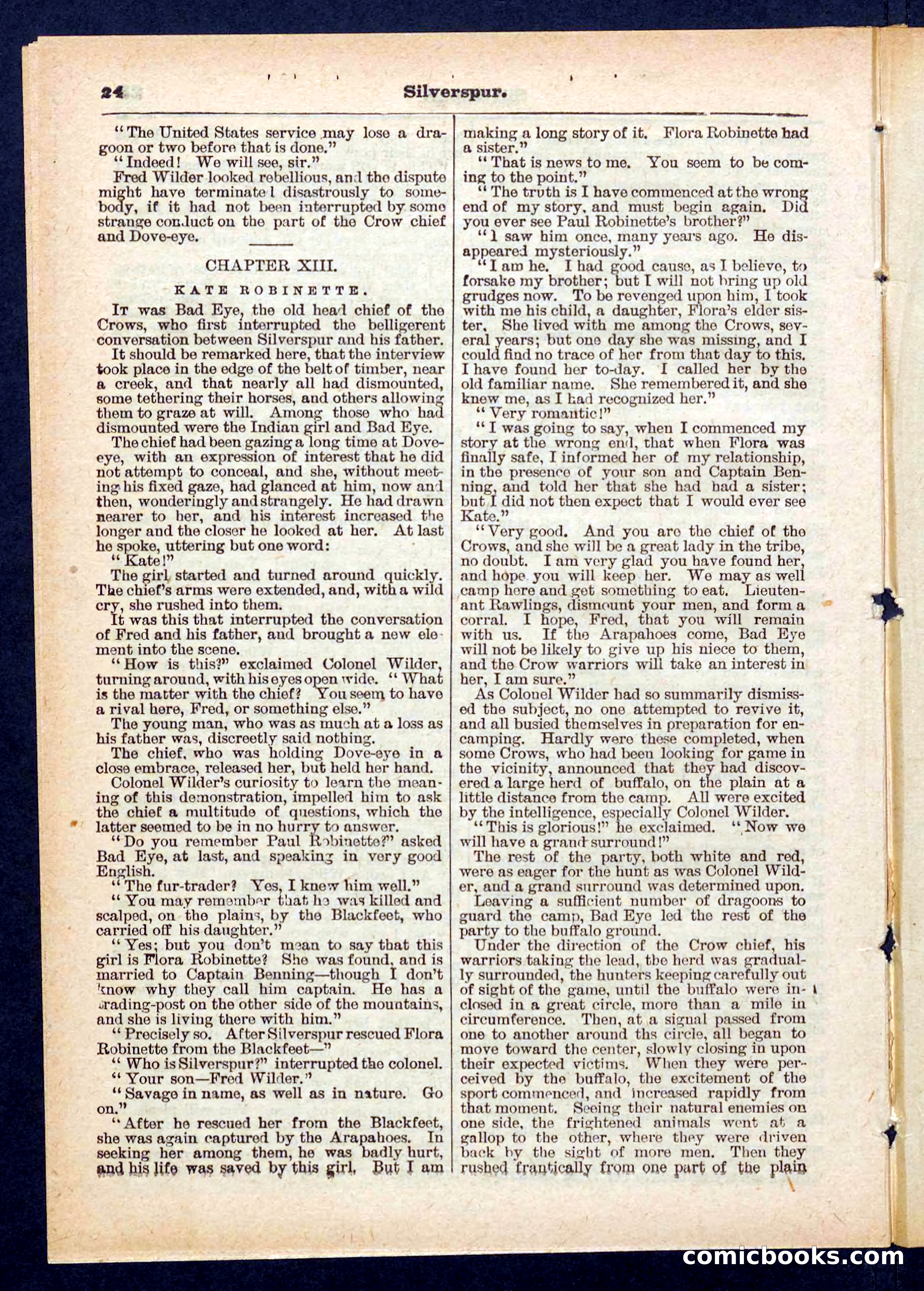Beadle's Pocket Library No. 439 — page 24 of 32