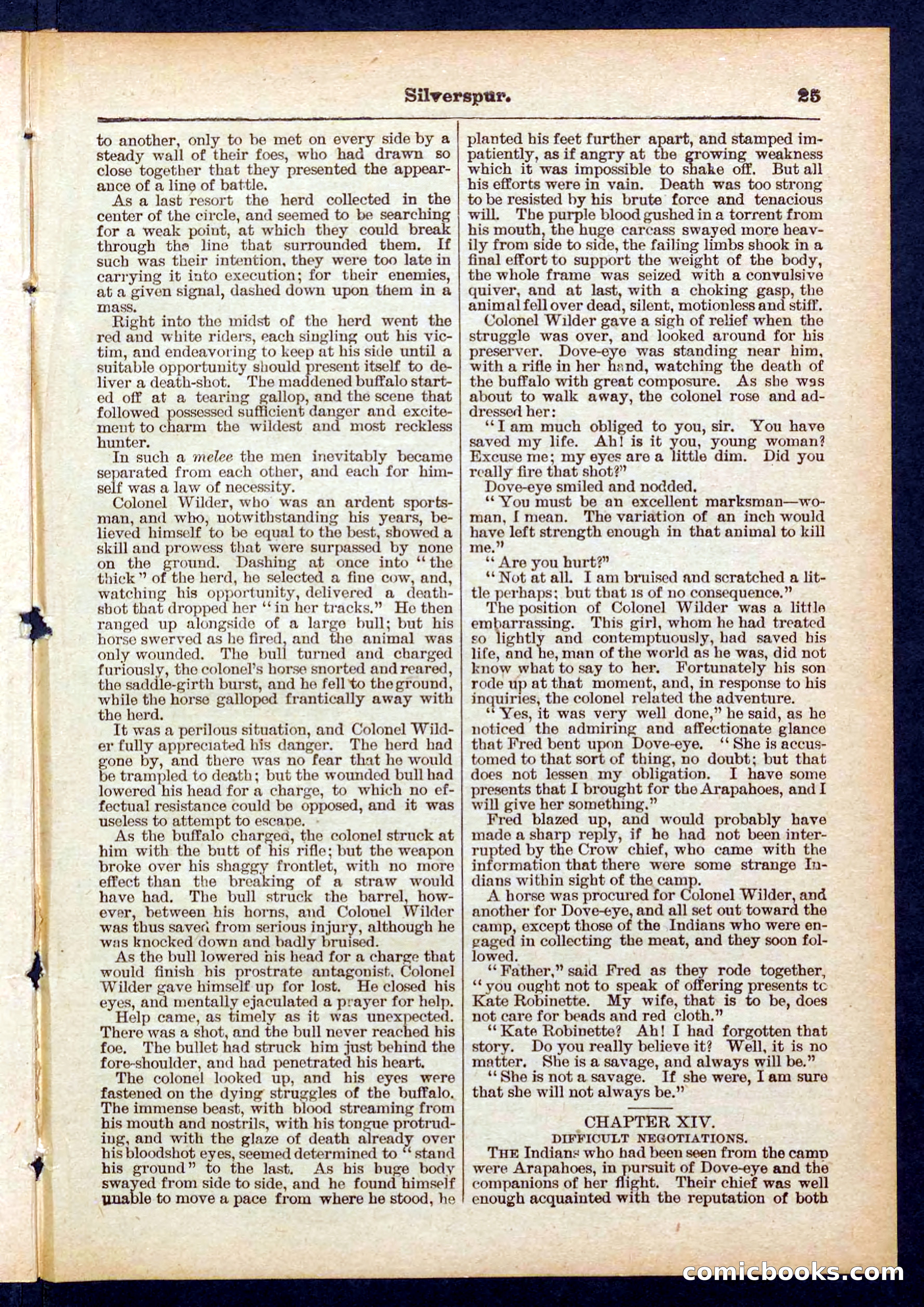 Beadle's Pocket Library No. 439 — page 25 of 32