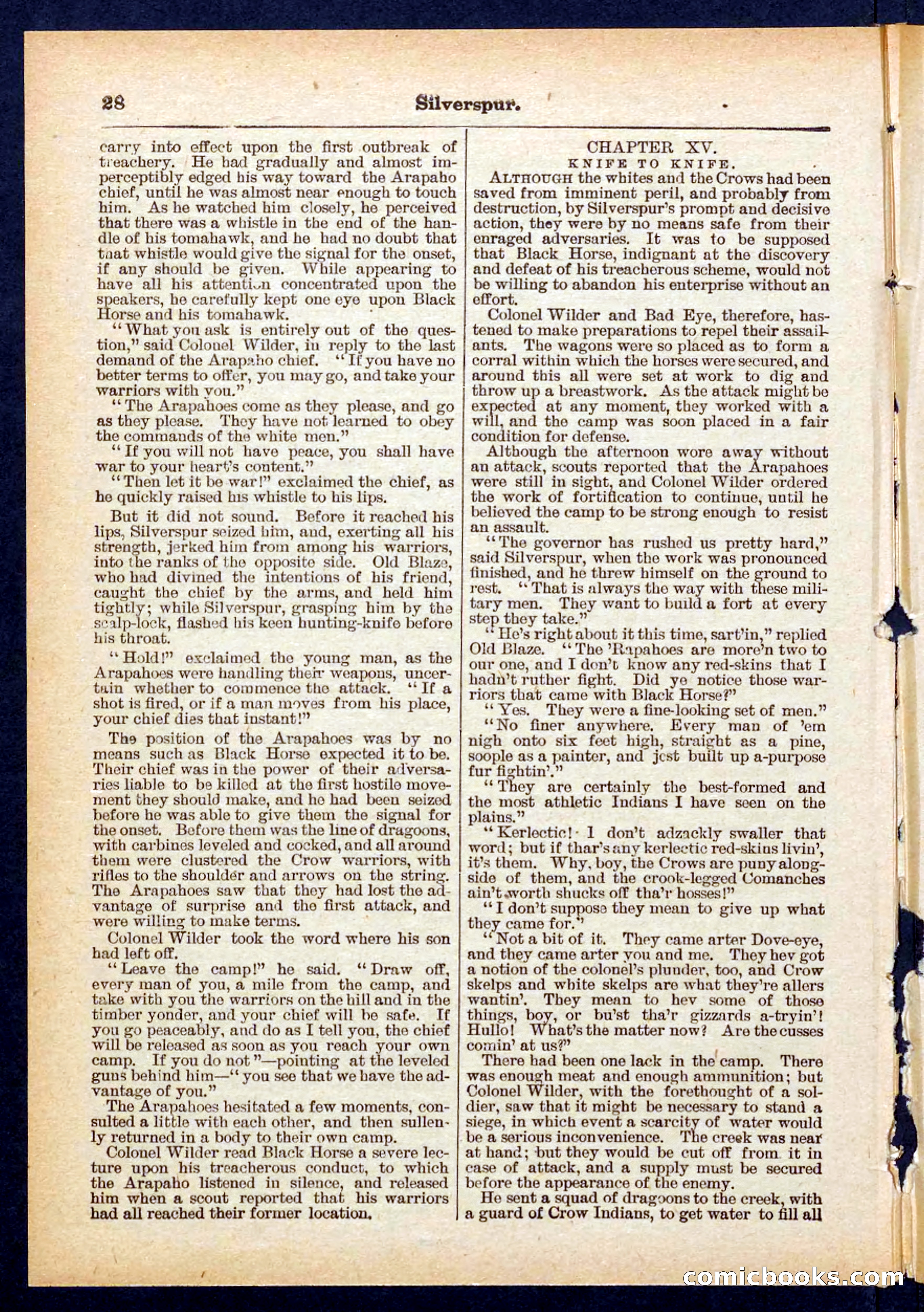Beadle's Pocket Library No. 439 — page 28 of 32