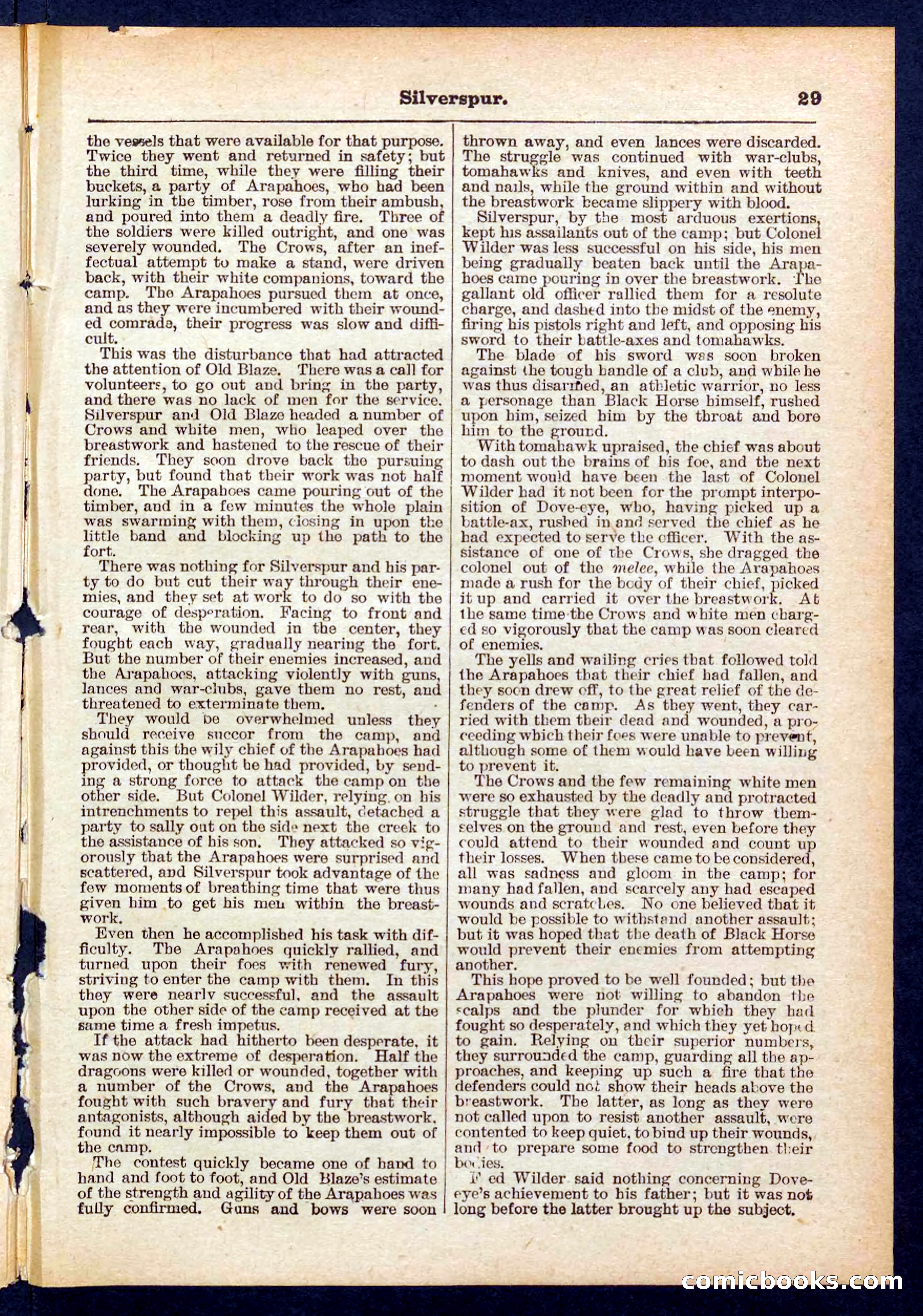 Beadle's Pocket Library No. 439 — page 29 of 32