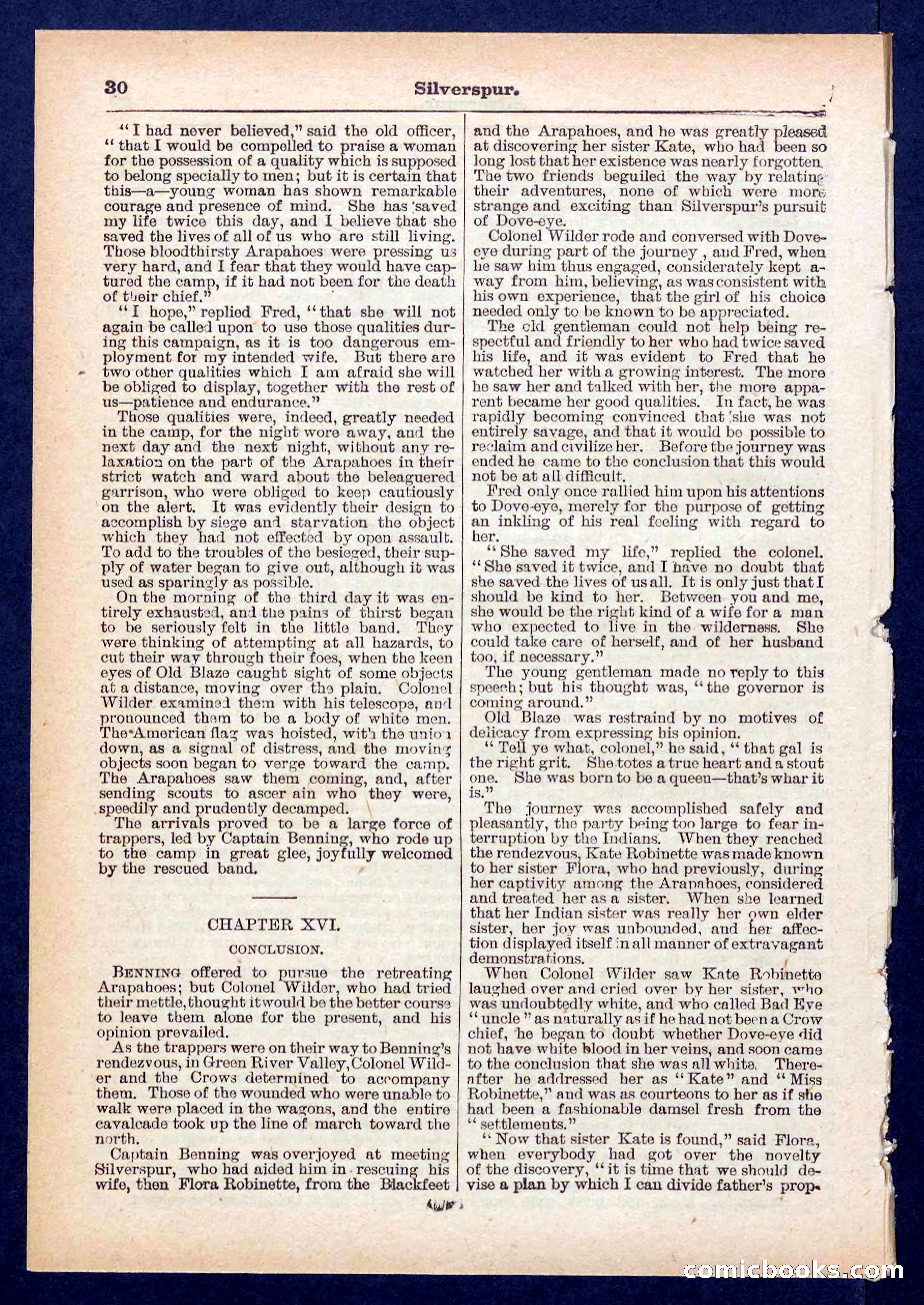 Beadle's Pocket Library No. 439 — page 30 of 32