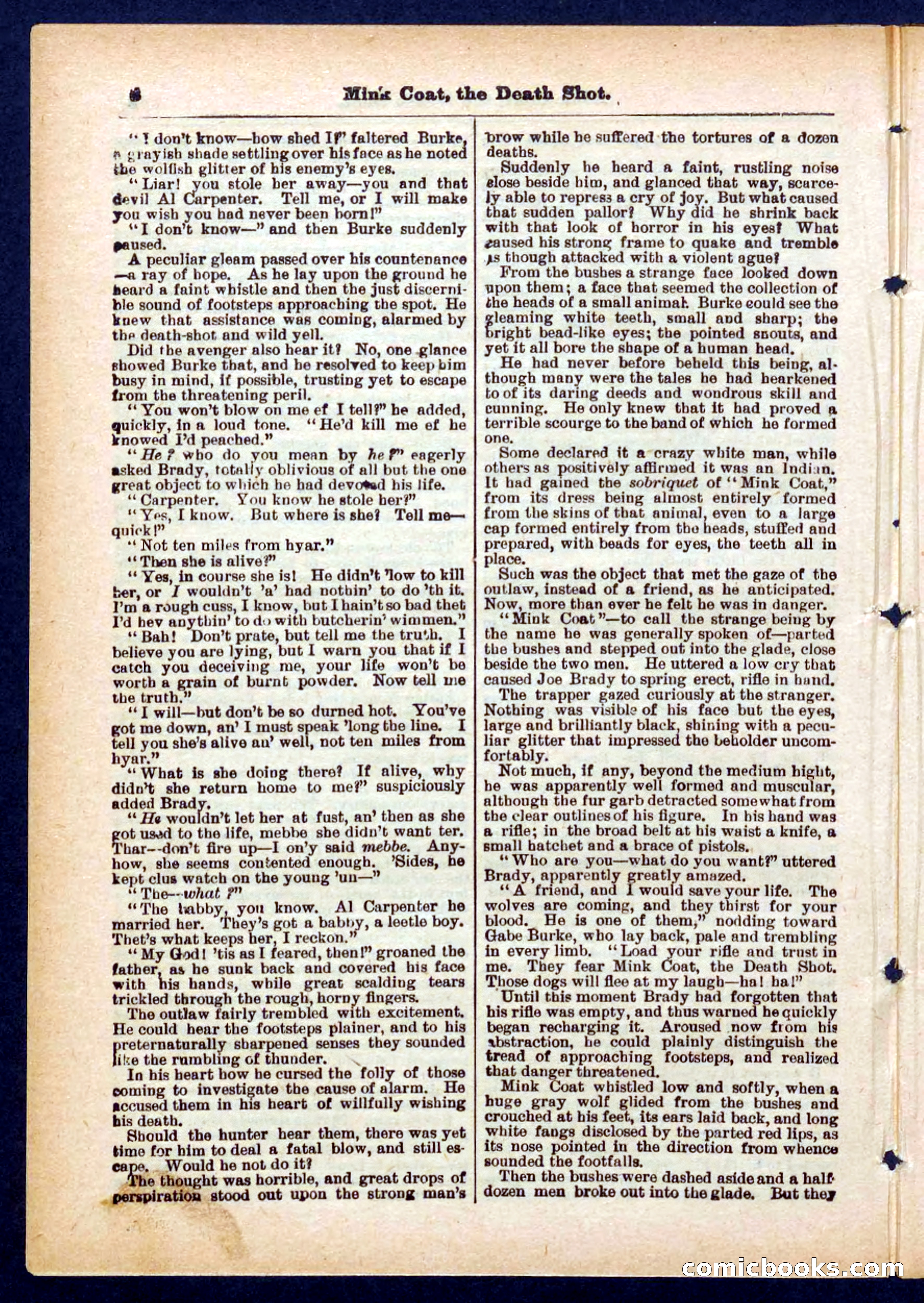 Beadle's Pocket Library No. 440: The Death Shot — page 6 of 32