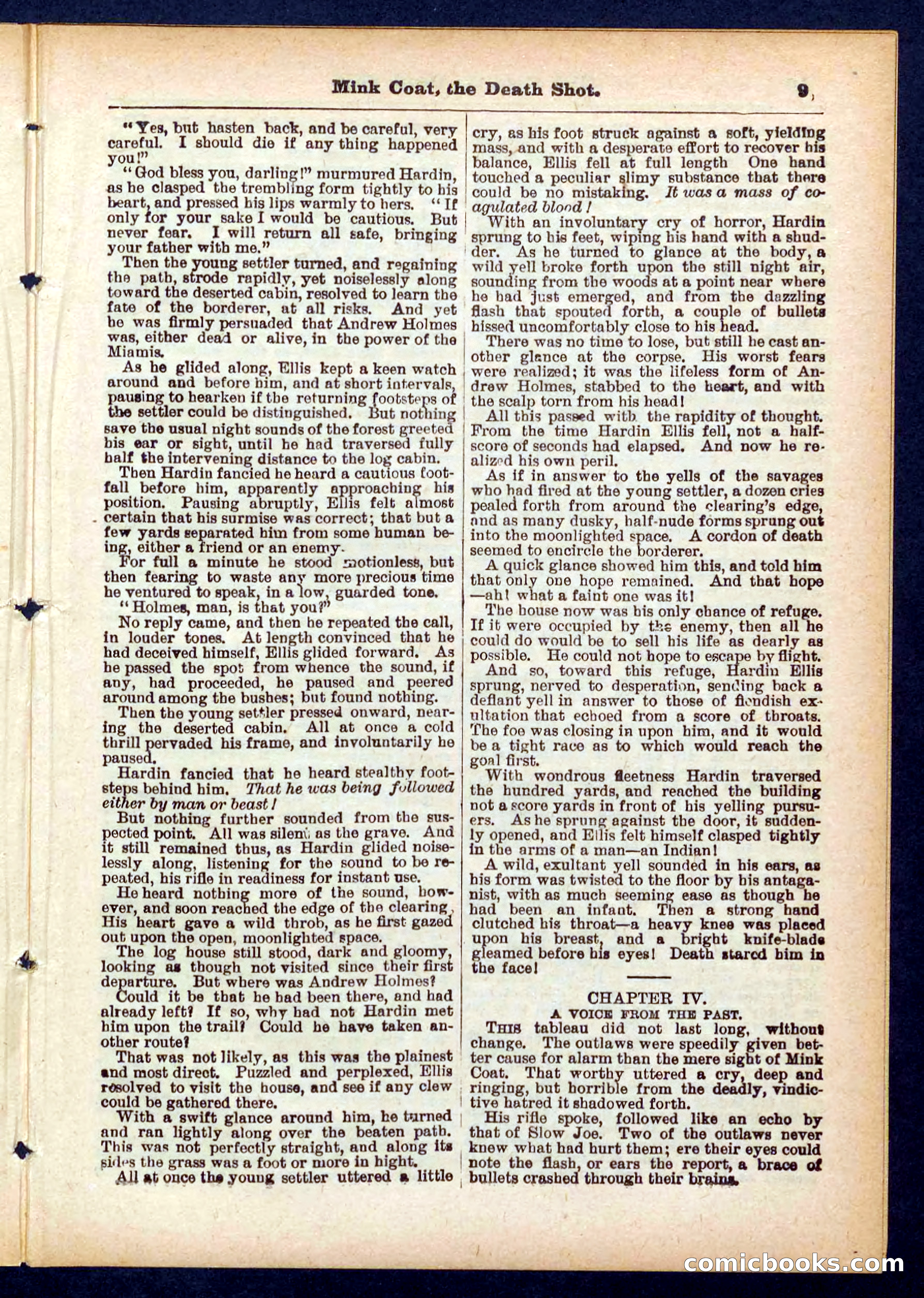 Beadle's Pocket Library No. 440: The Death Shot — page 9 of 32