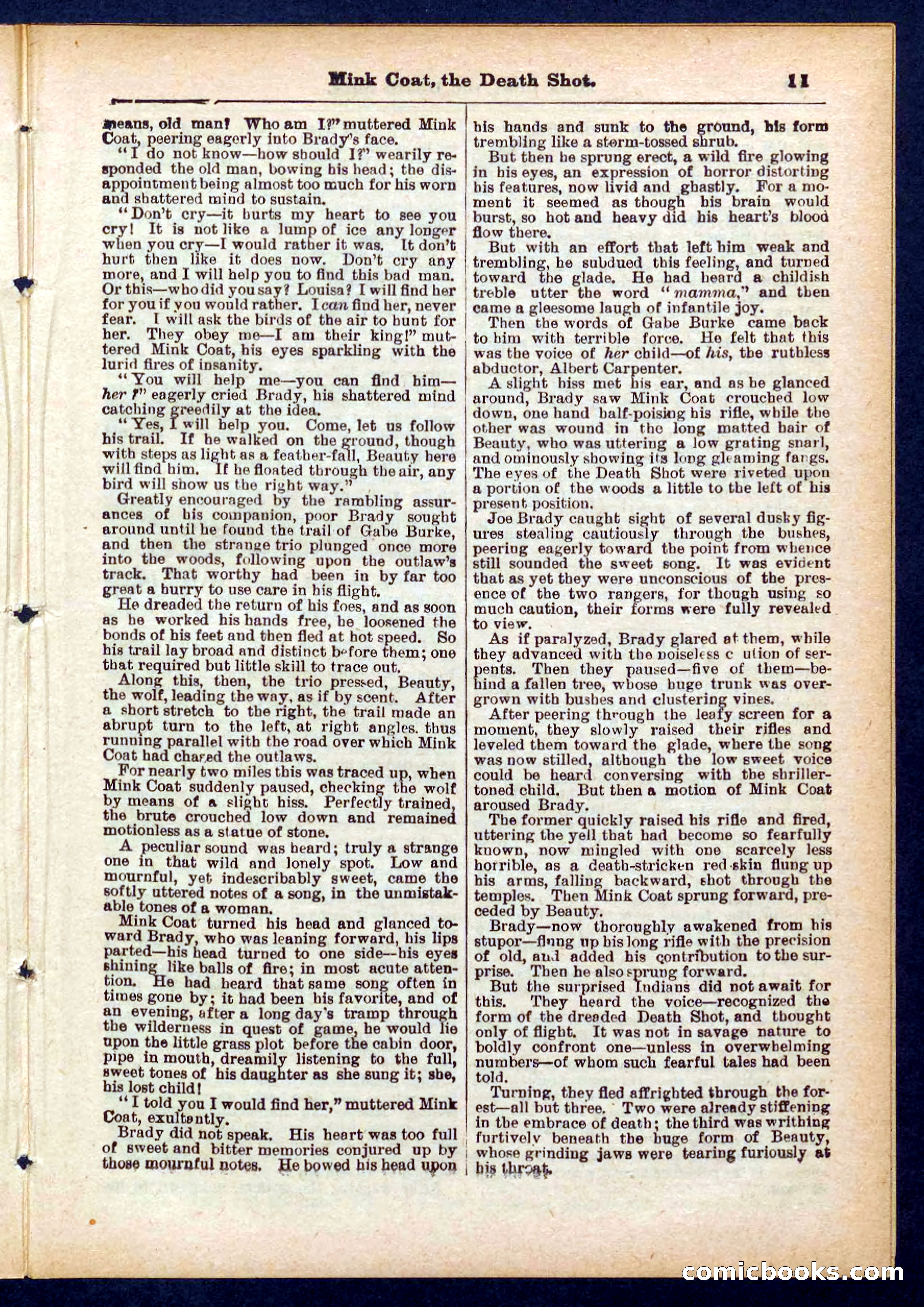 Beadle's Pocket Library No. 440: The Death Shot — page 11 of 32
