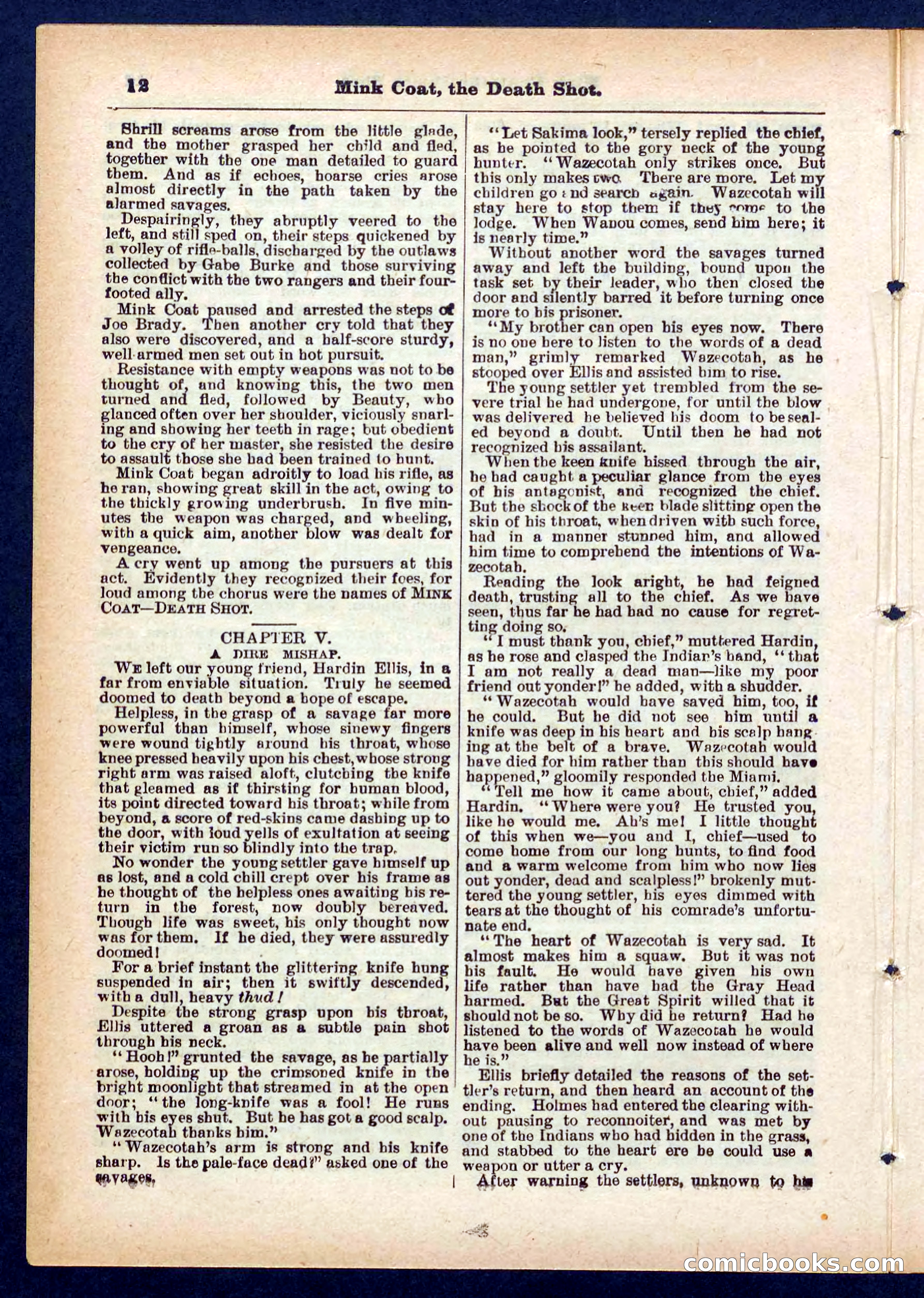 Beadle's Pocket Library No. 440: The Death Shot — page 12 of 32