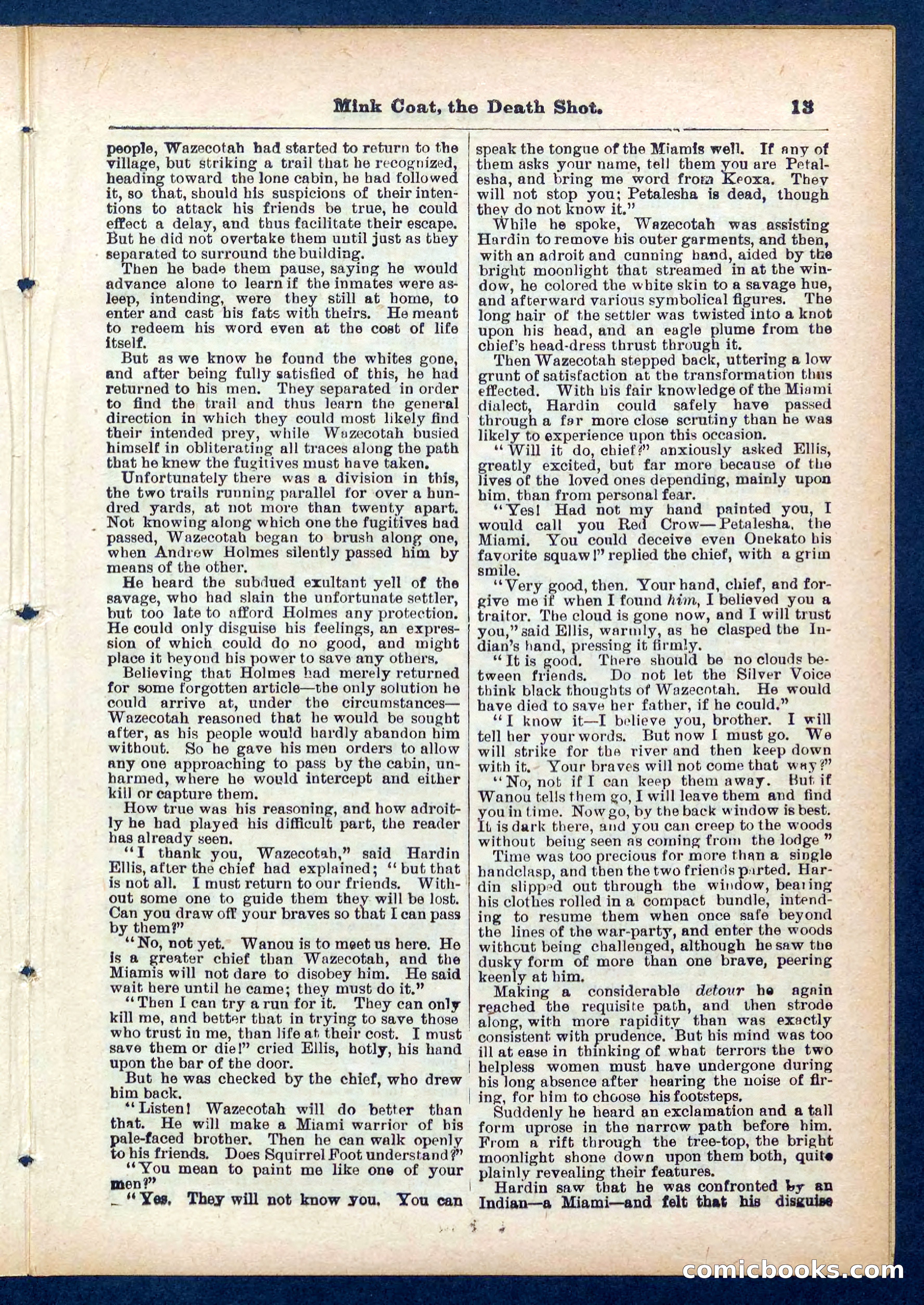 Beadle's Pocket Library No. 440: The Death Shot — page 13 of 32