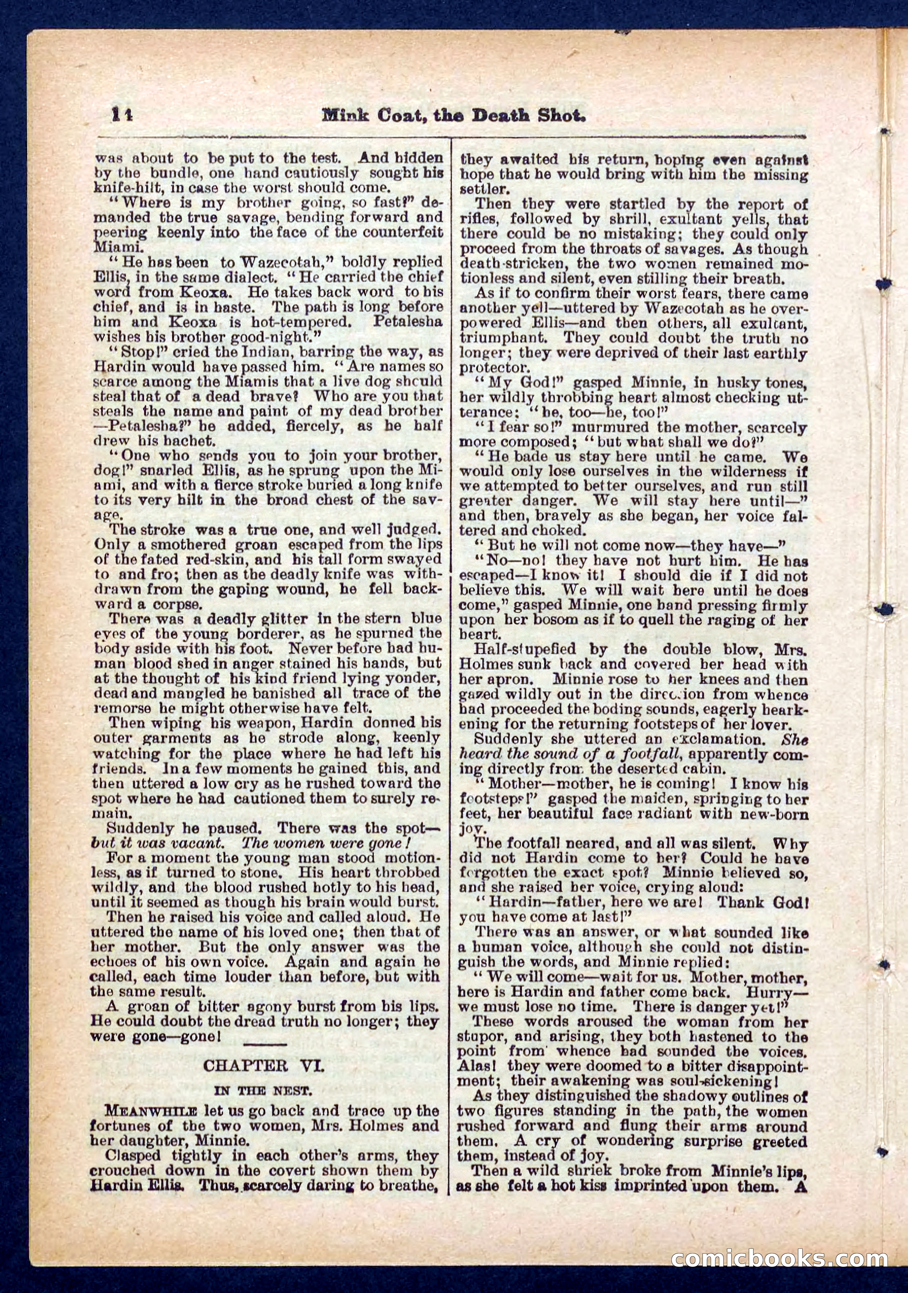 Beadle's Pocket Library No. 440: The Death Shot — page 14 of 32