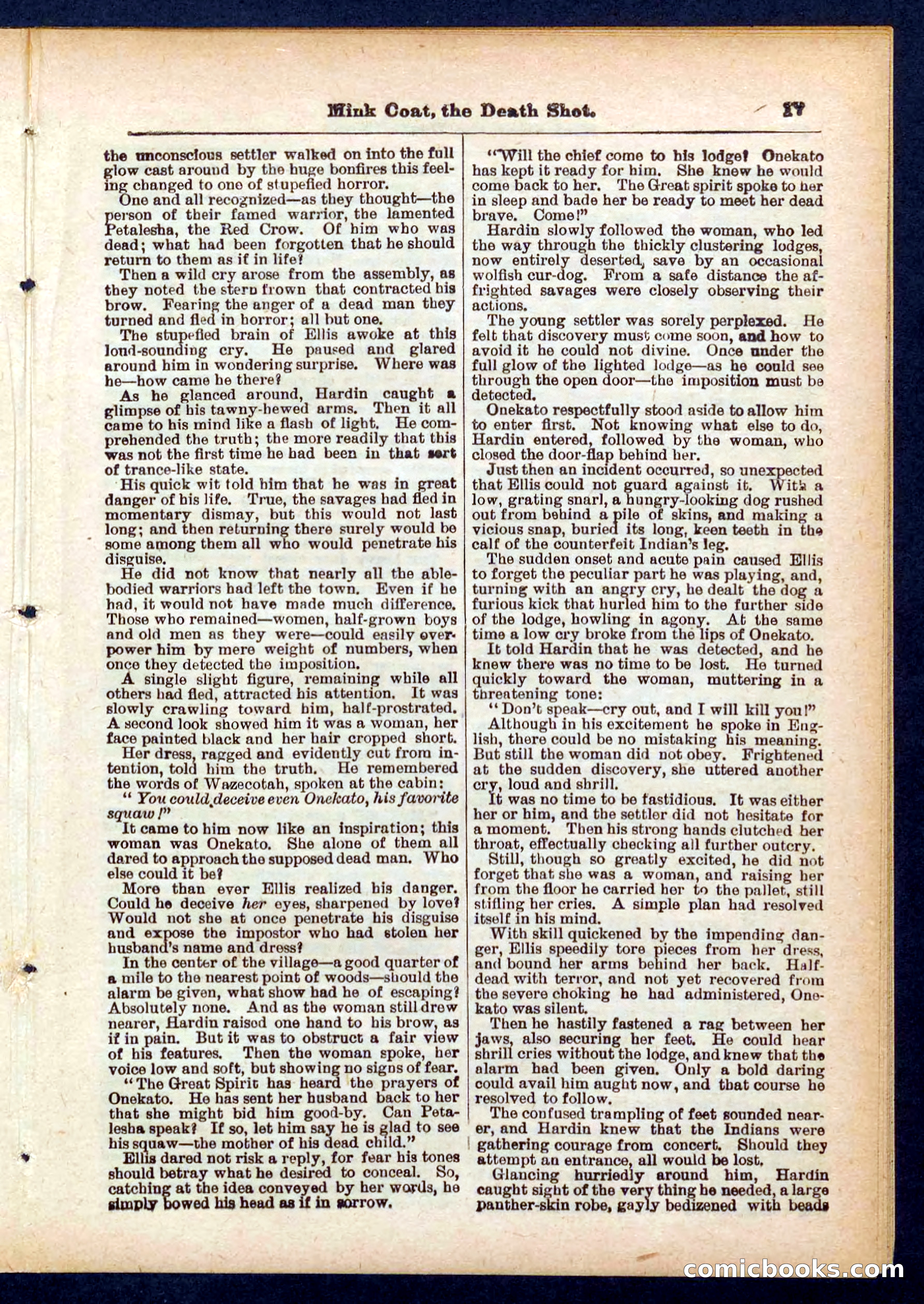 Beadle's Pocket Library No. 440: The Death Shot — page 17 of 32