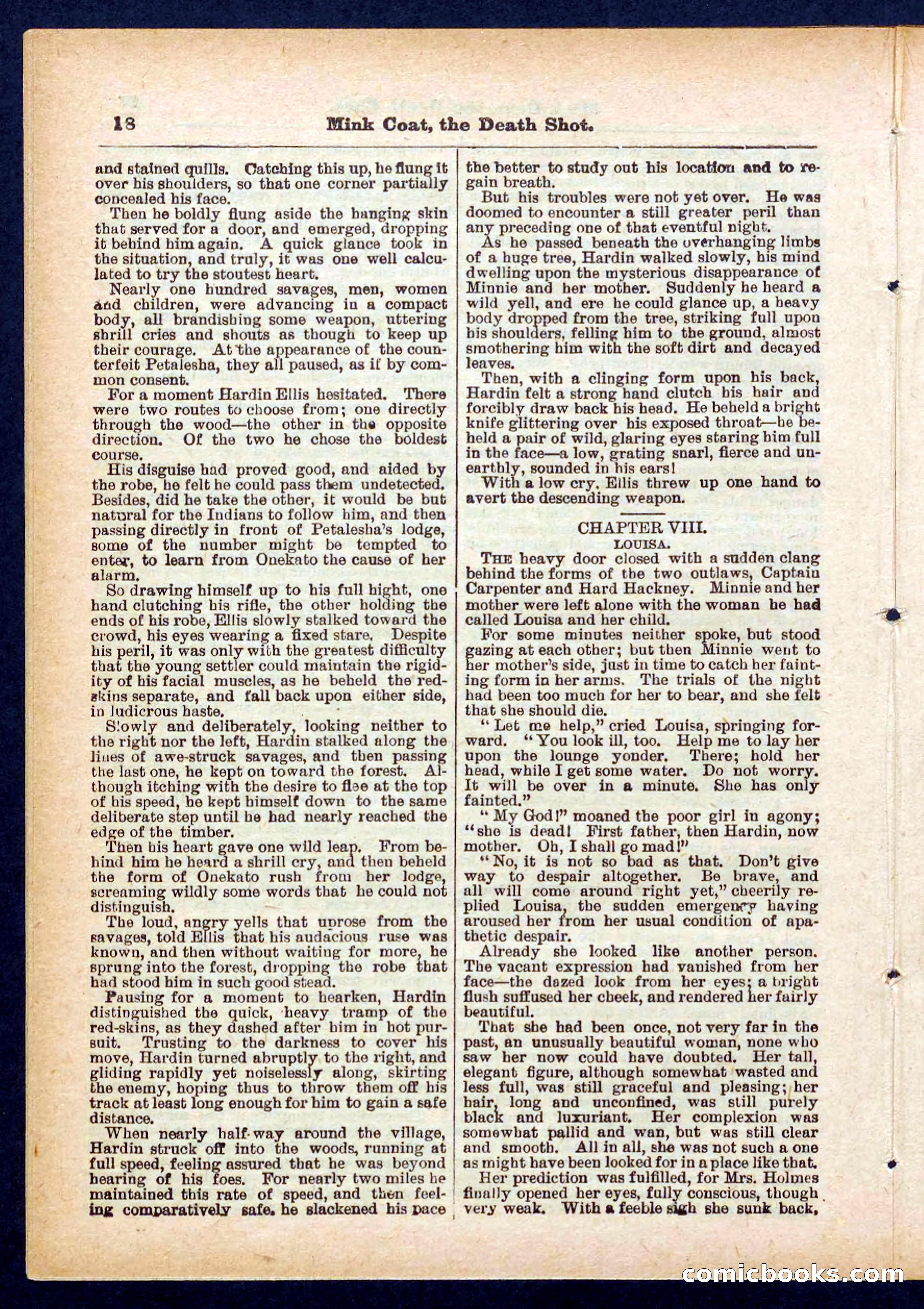 Beadle's Pocket Library No. 440: The Death Shot — page 18 of 32