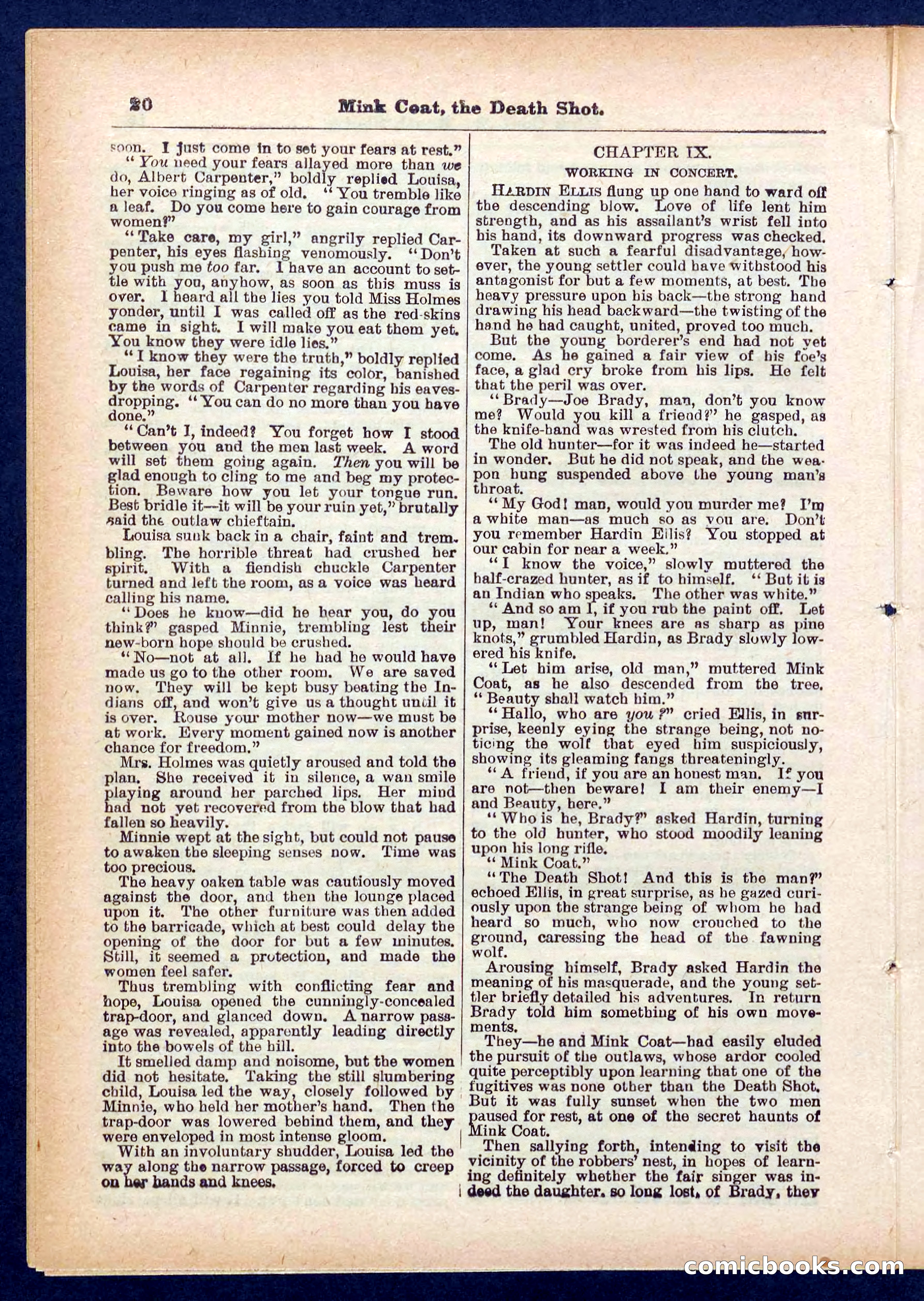 Beadle's Pocket Library No. 440: The Death Shot — page 20 of 32