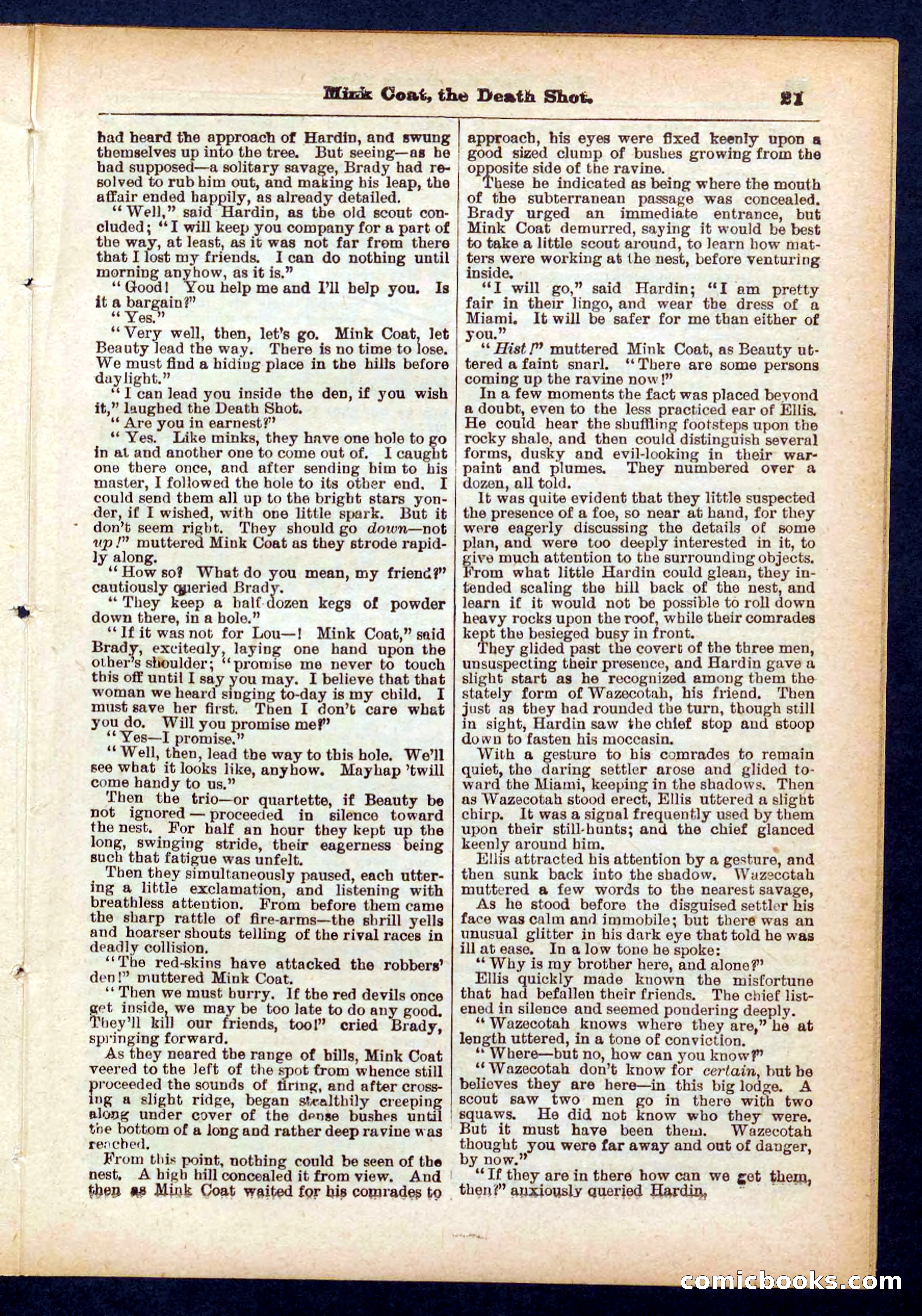 Beadle's Pocket Library No. 440: The Death Shot — page 21 of 32