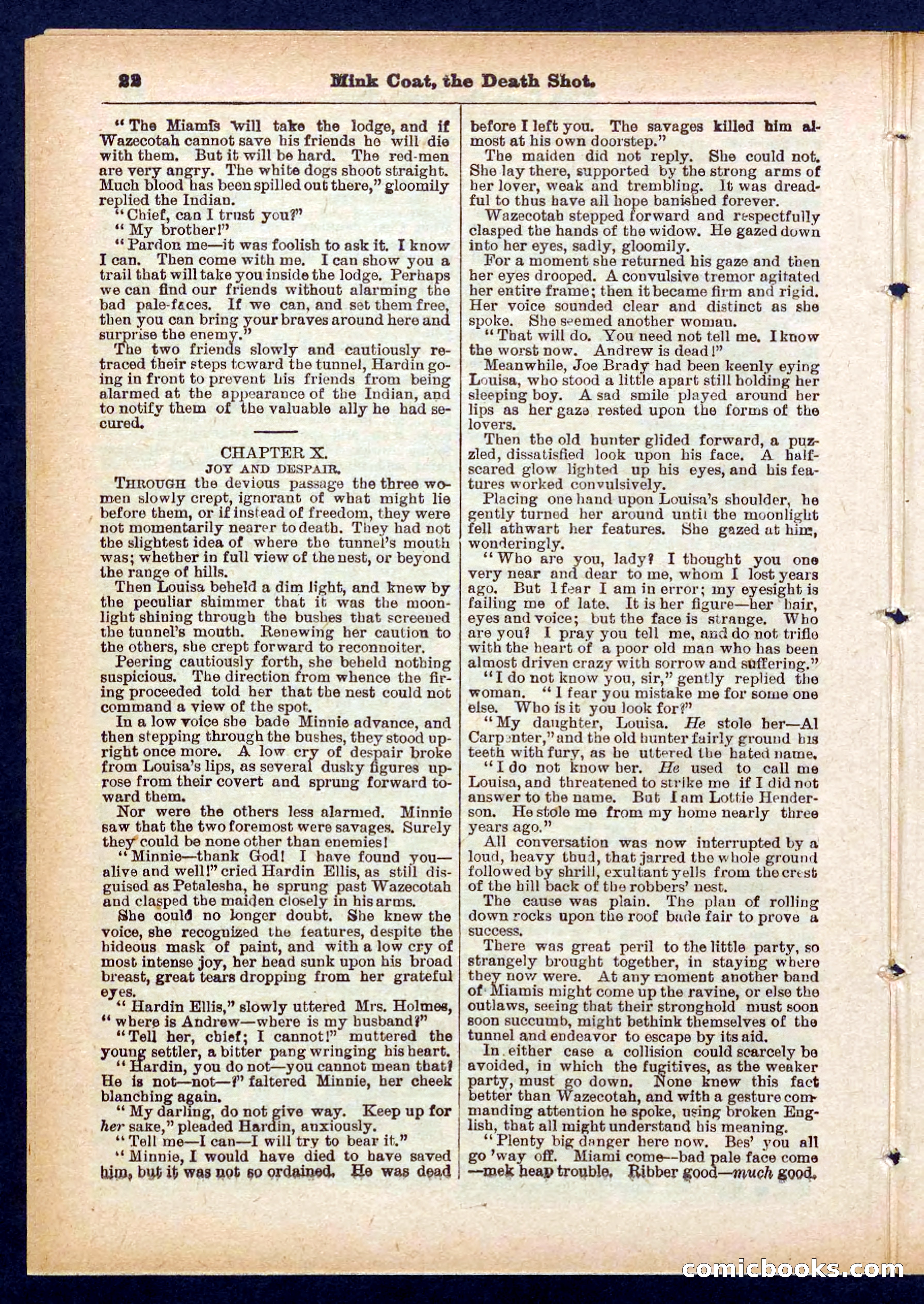 Beadle's Pocket Library No. 440: The Death Shot — page 22 of 32