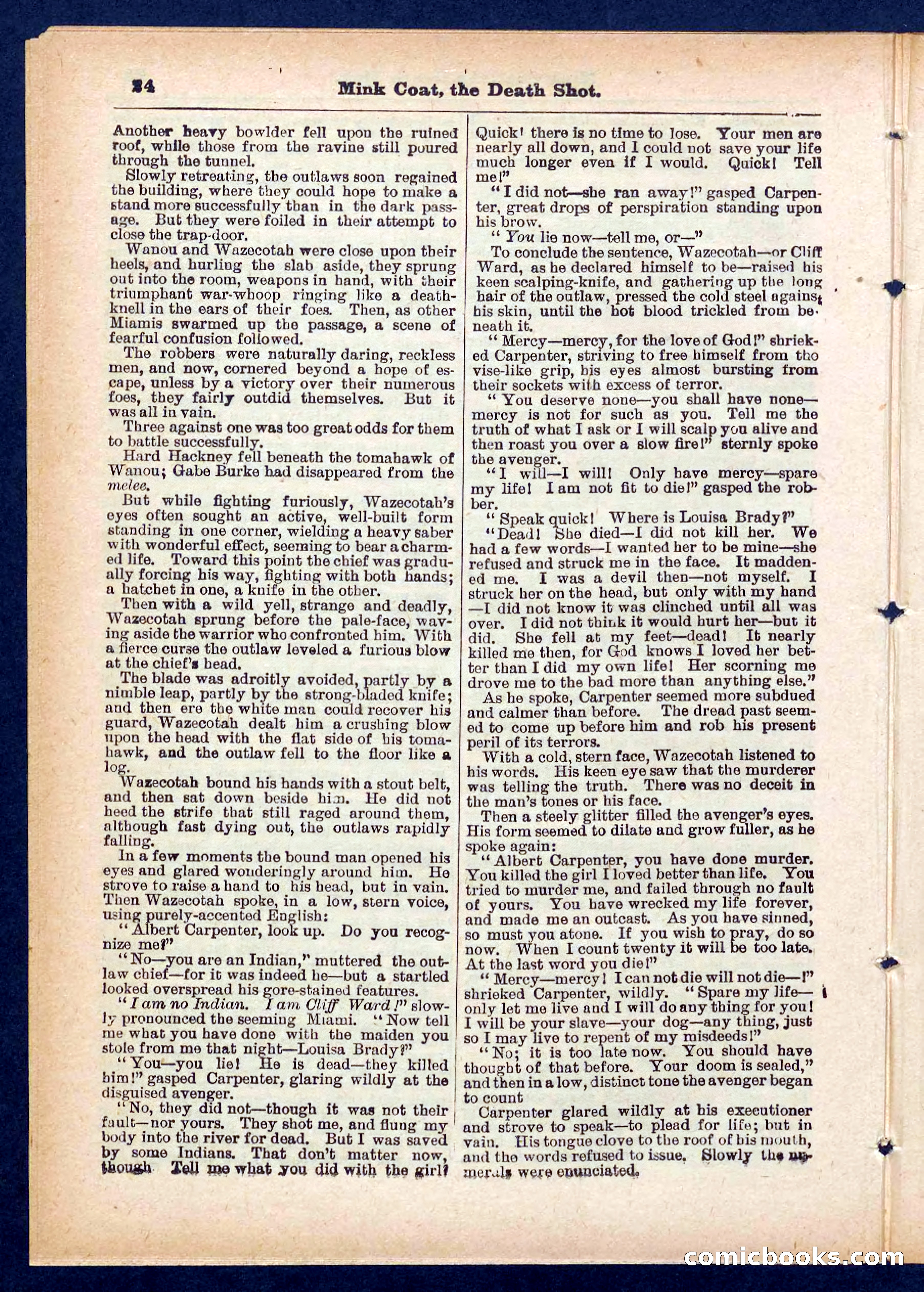 Beadle's Pocket Library No. 440: The Death Shot — page 24 of 32