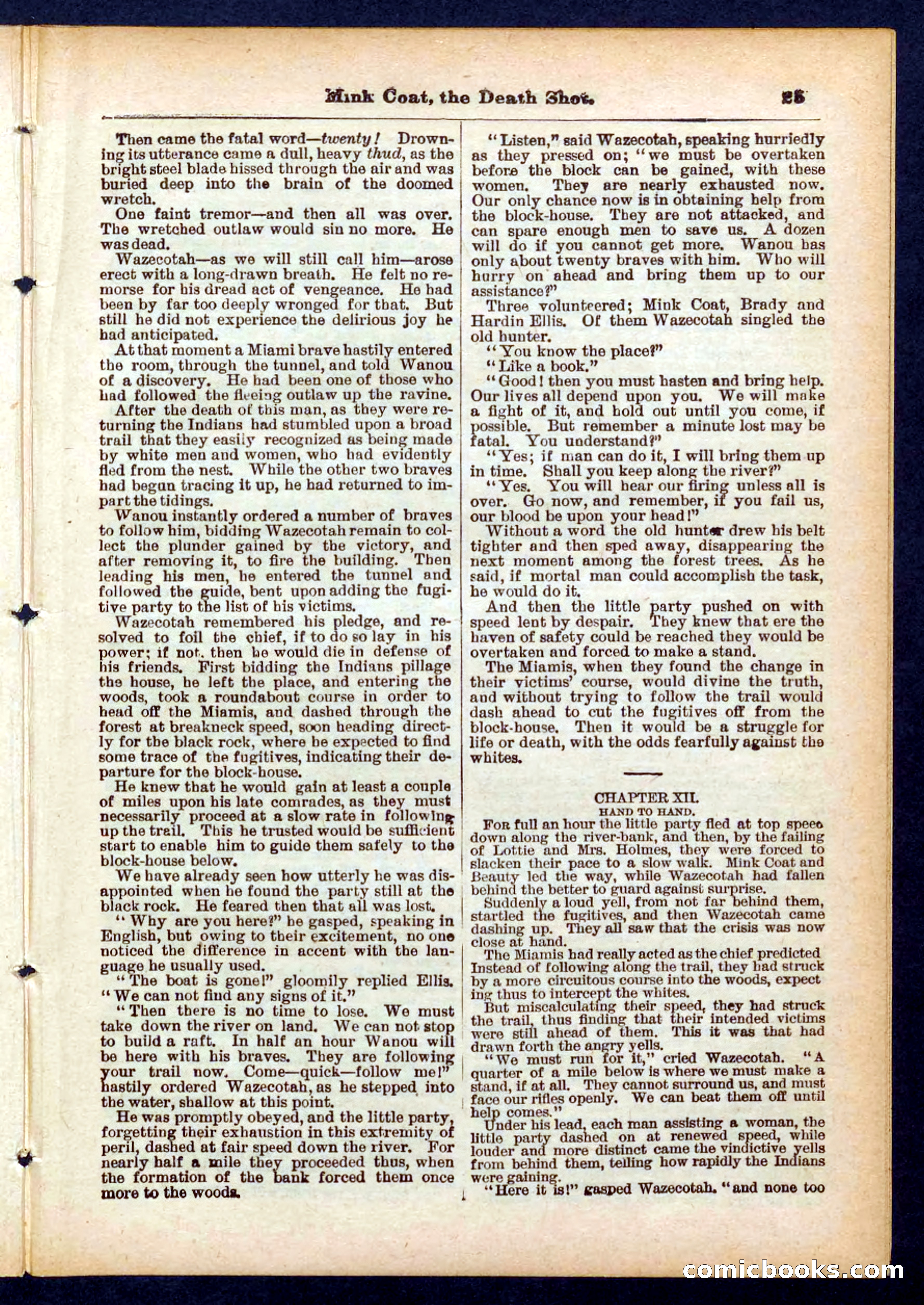 Beadle's Pocket Library No. 440: The Death Shot — page 25 of 32