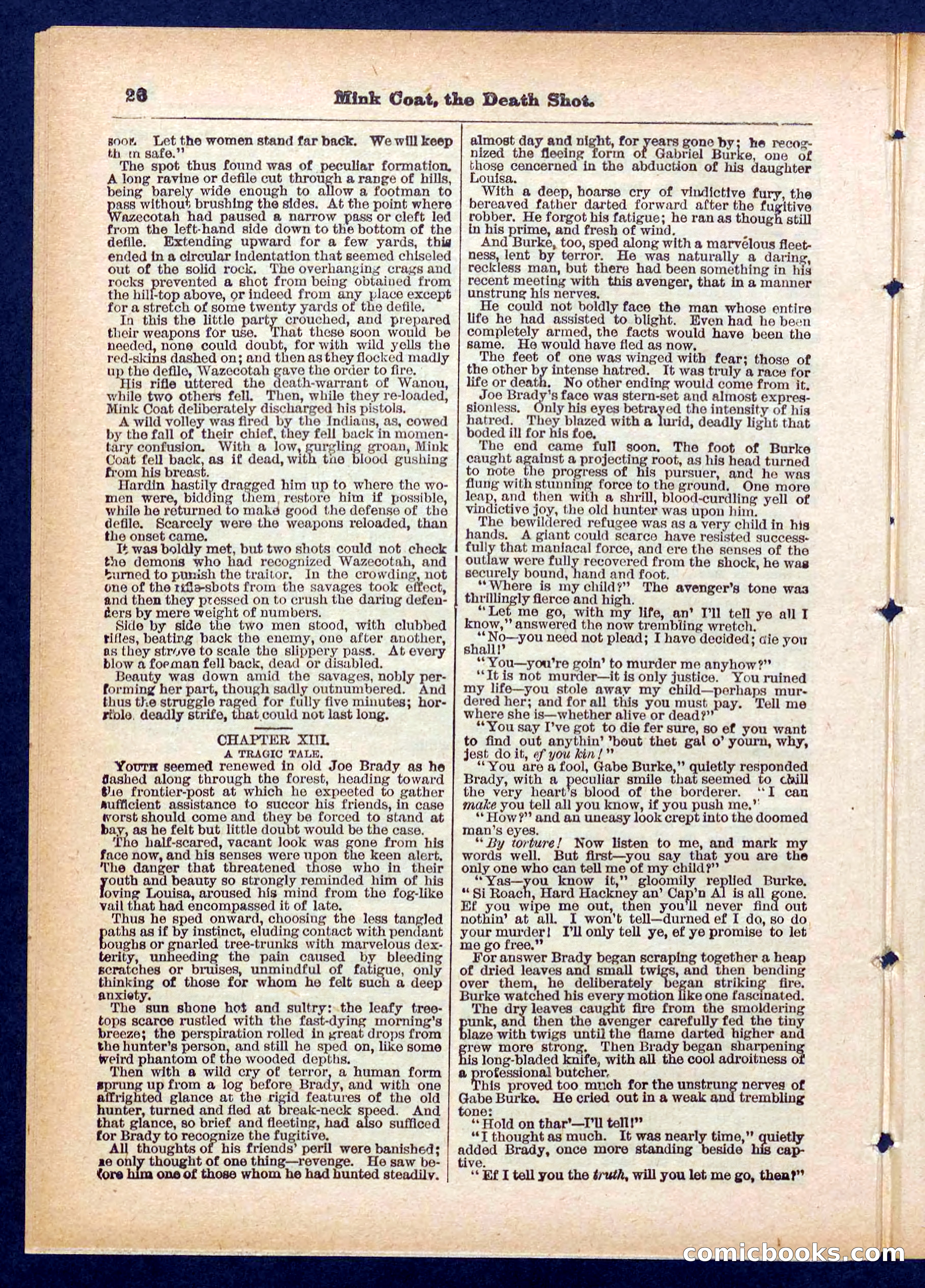 Beadle's Pocket Library No. 440: The Death Shot — page 26 of 32