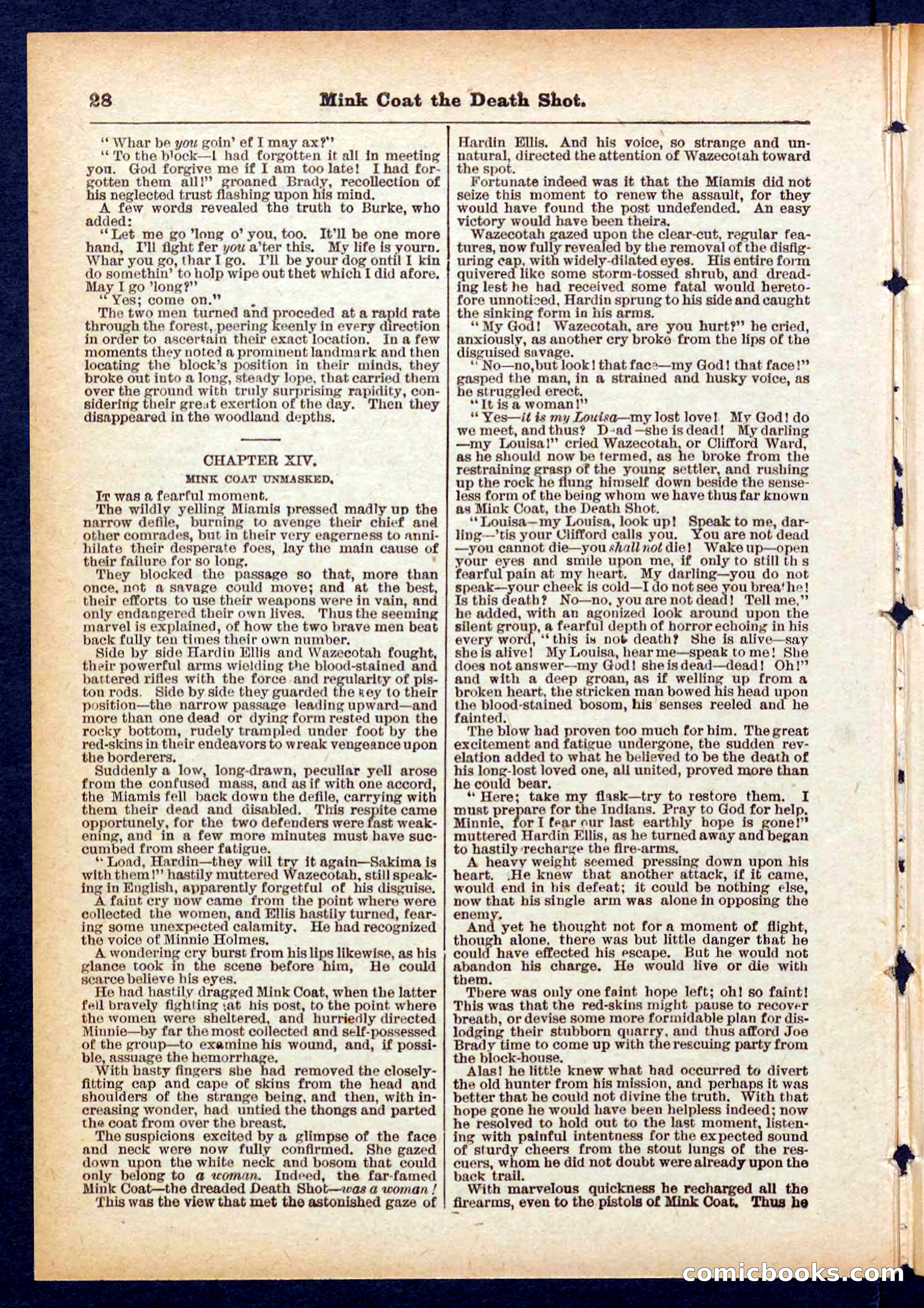 Beadle's Pocket Library No. 440: The Death Shot — page 28 of 32