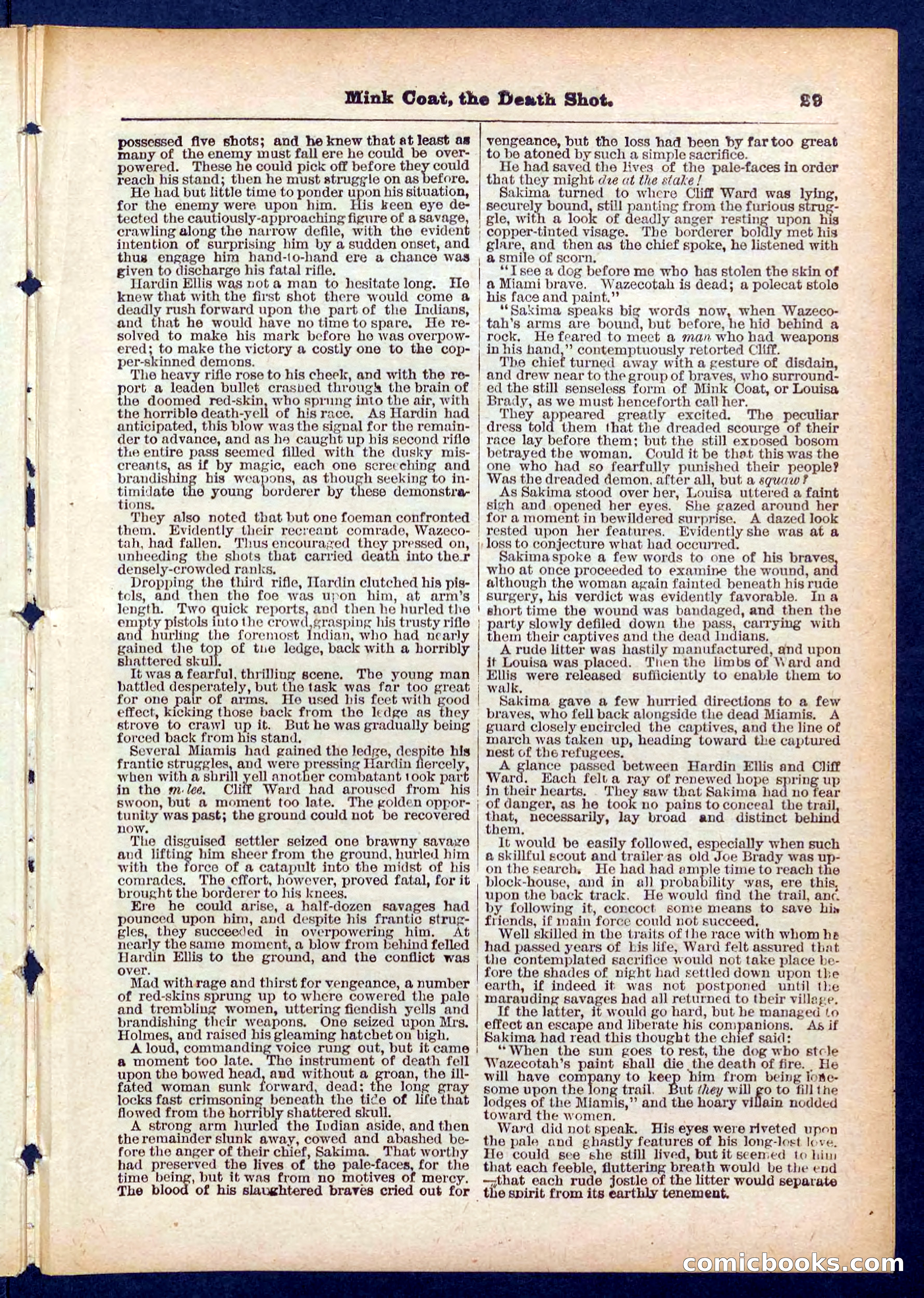 Beadle's Pocket Library No. 440: The Death Shot — page 29 of 32